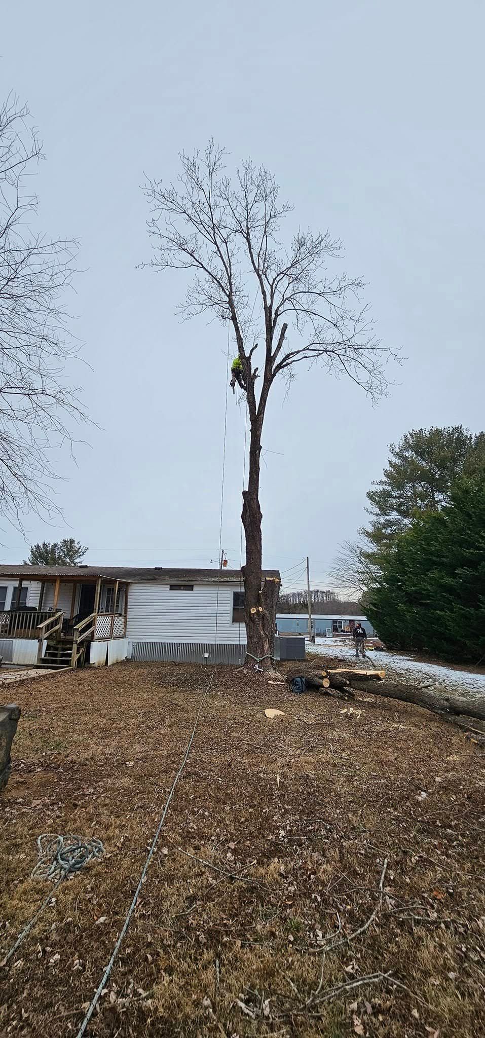  for Reagan & Sons Tree Service in Dandridge, TN