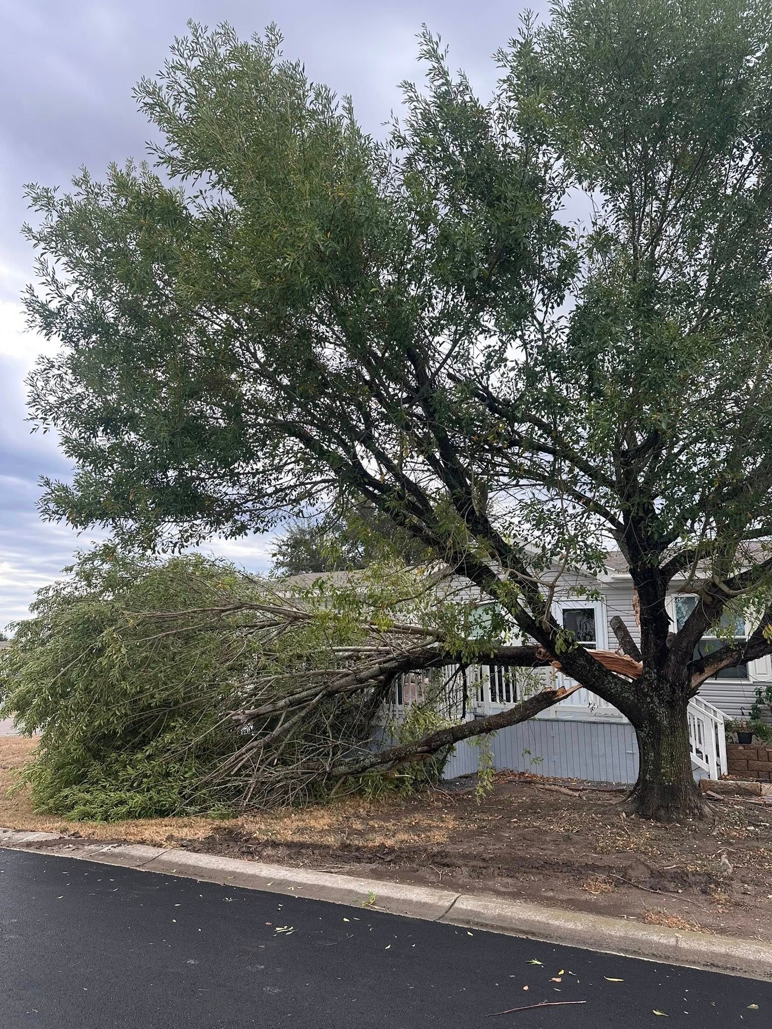  for Austin's Lawn Enforcement in Austin, TX