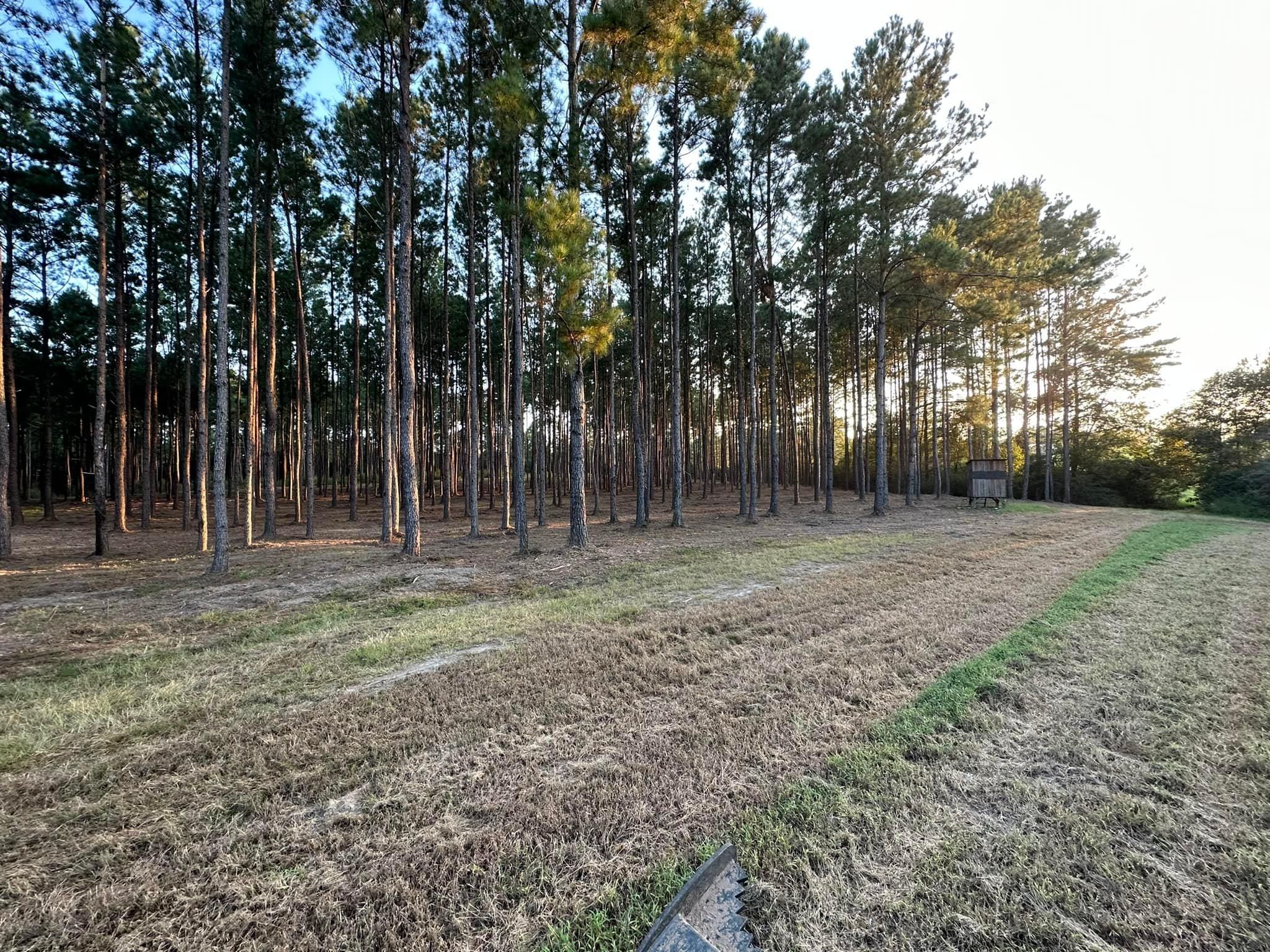 All Photos for White’s Land Maintenance in Milton,, FL