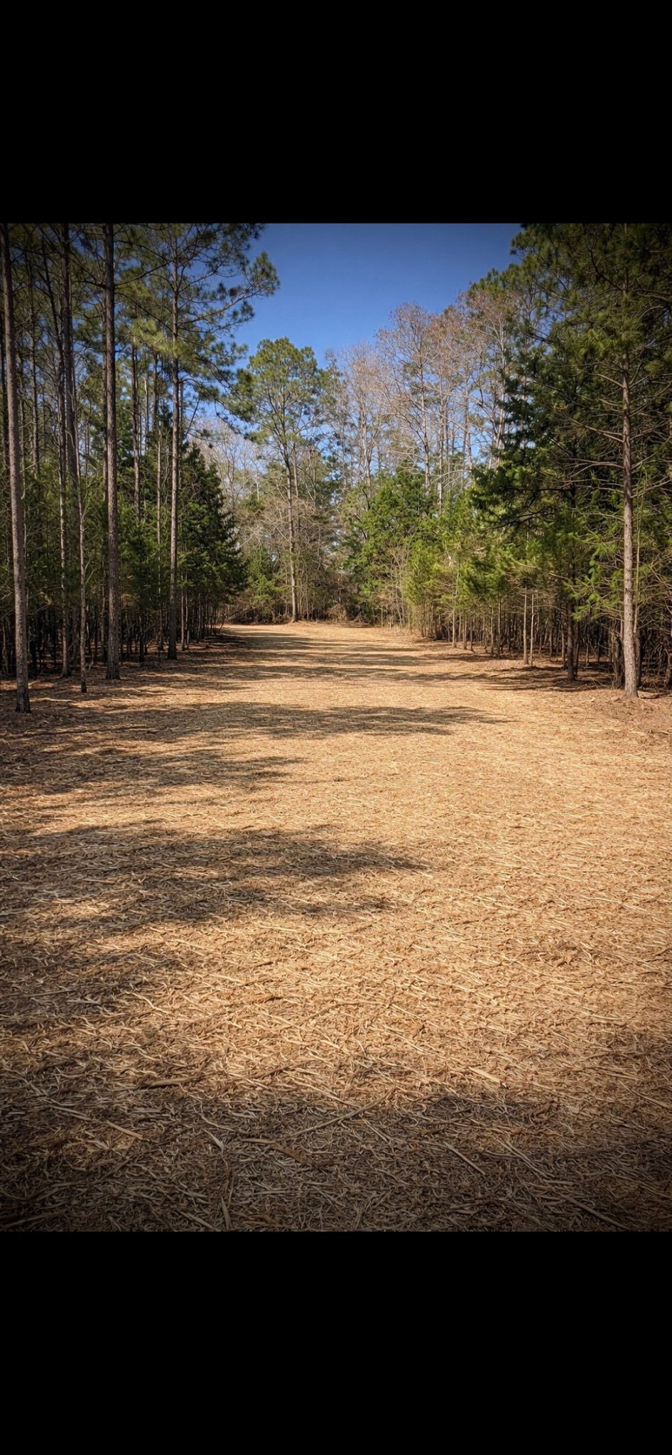  for Thin Blue Line Ventures in Bonifay, FL