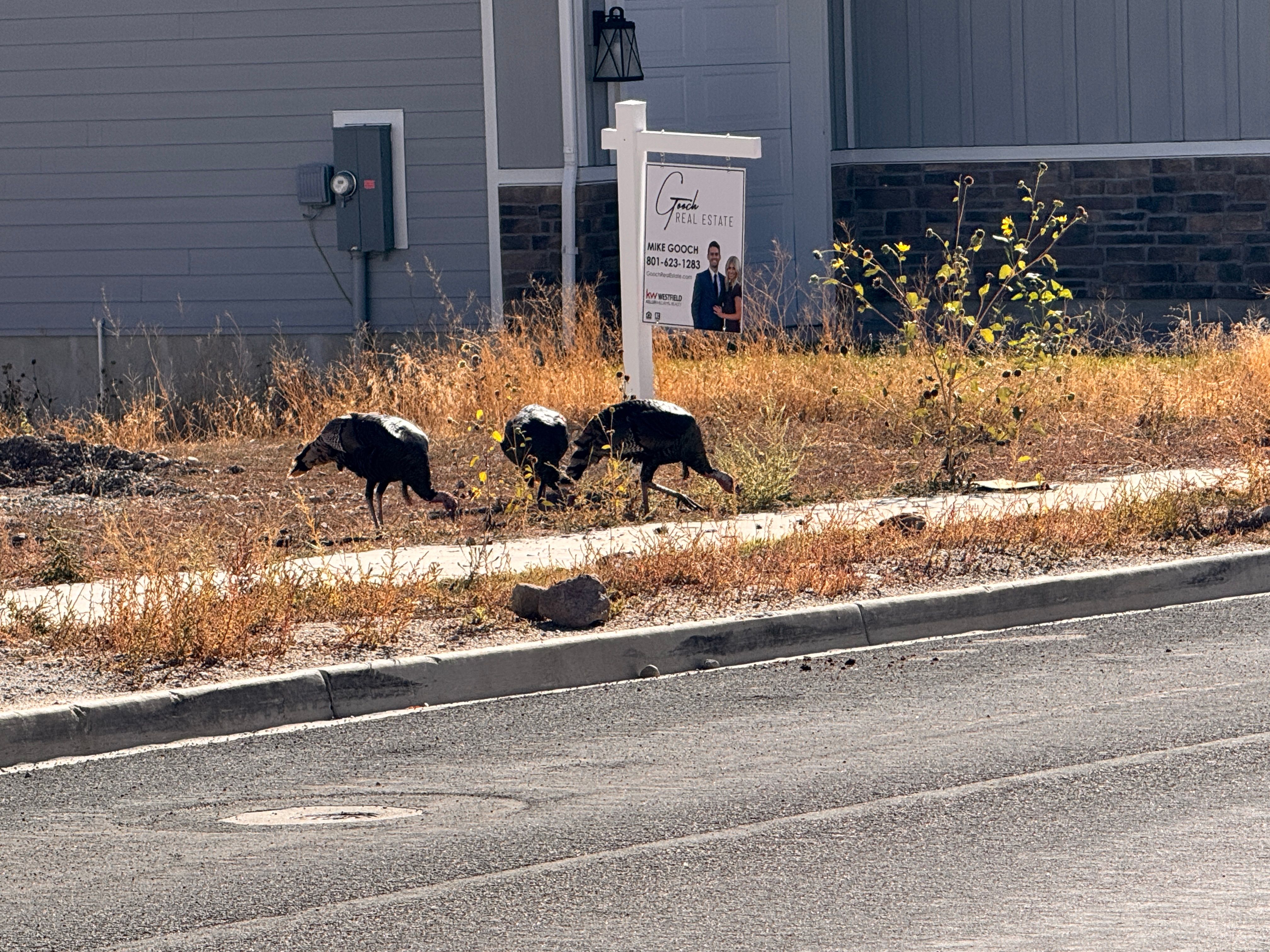  for Pioneer Services Utah in Draper, UT