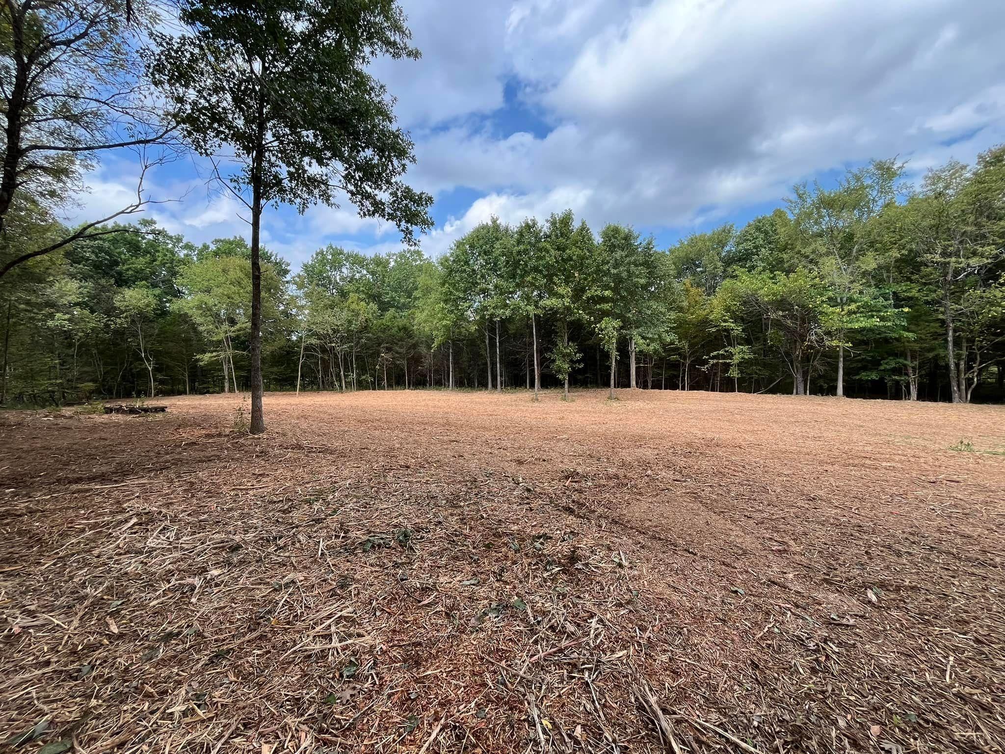  for TriStar Land Clearing & Mulching in Murfreesboro, TN