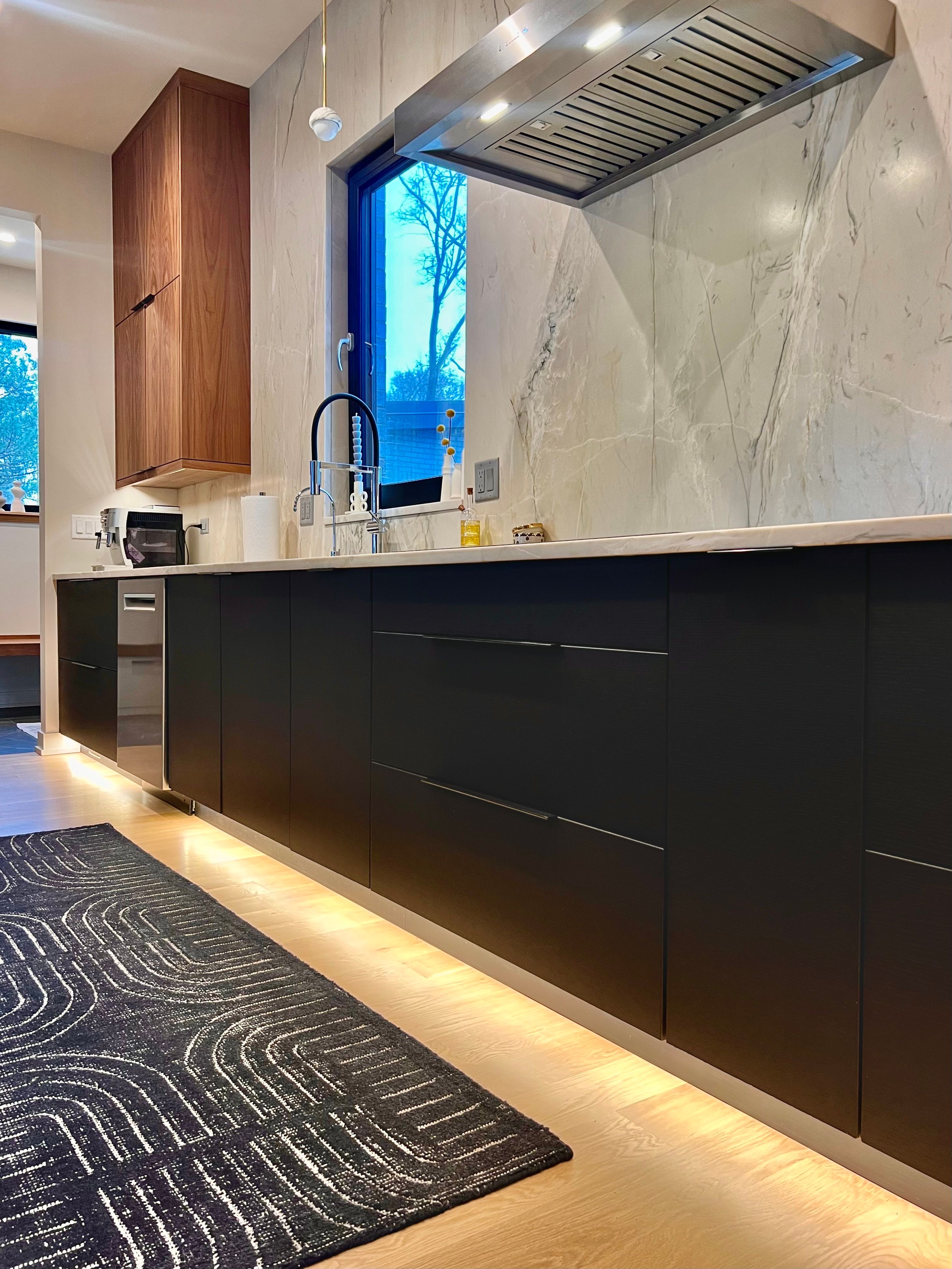 Prospect Heights Modern Kitchen for Ekwood Finishes in St. Charles, IL