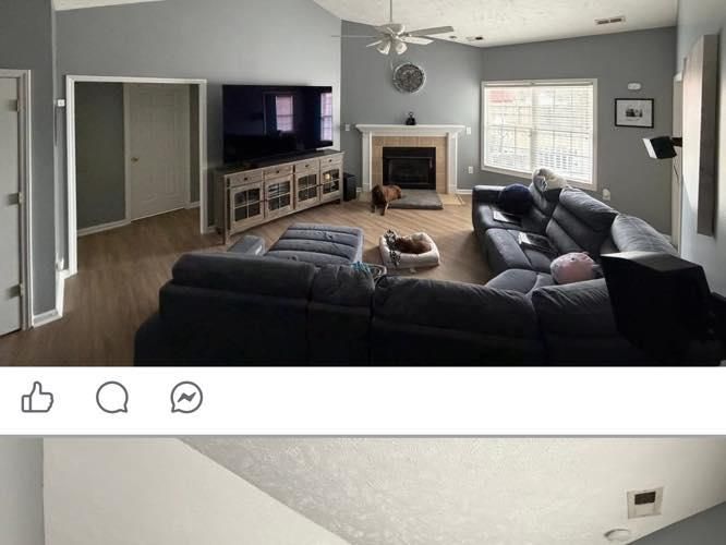  for Susan's Painting in Greensboro, NC