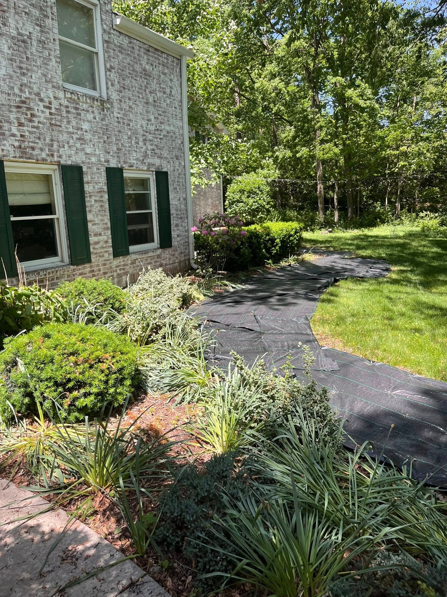  for Finest Lawn N Landscape in Springfield, IL