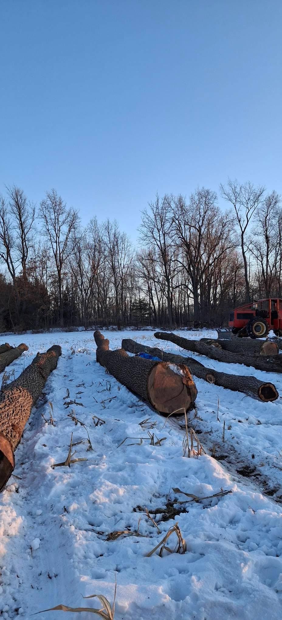  for God's Country Timber Management in Hillsdale, MI