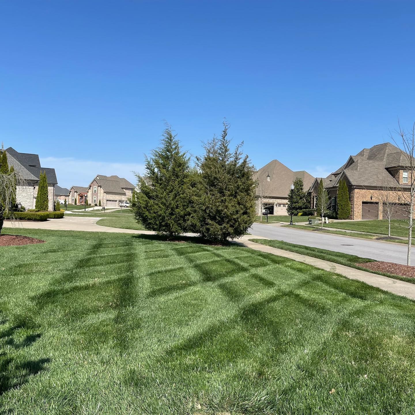  for The Right Price Right Choice Lawn Care Services in Murfreesboro, TN