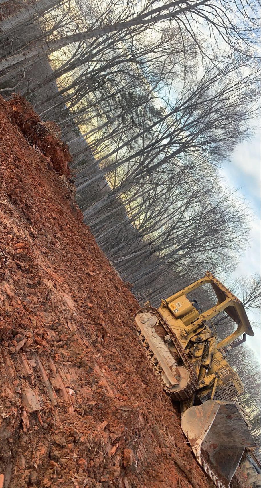  for Williamson Logging in Hardy, VA
