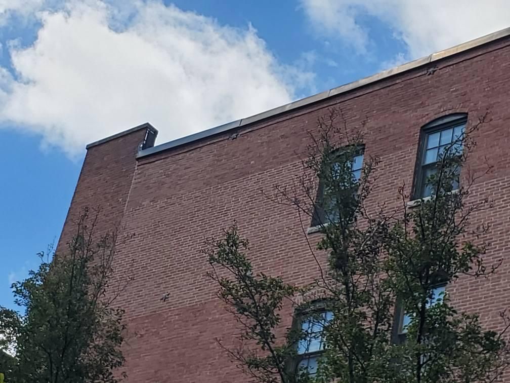 All Photos for James T. Coughlan Restoration in Brockton, MA