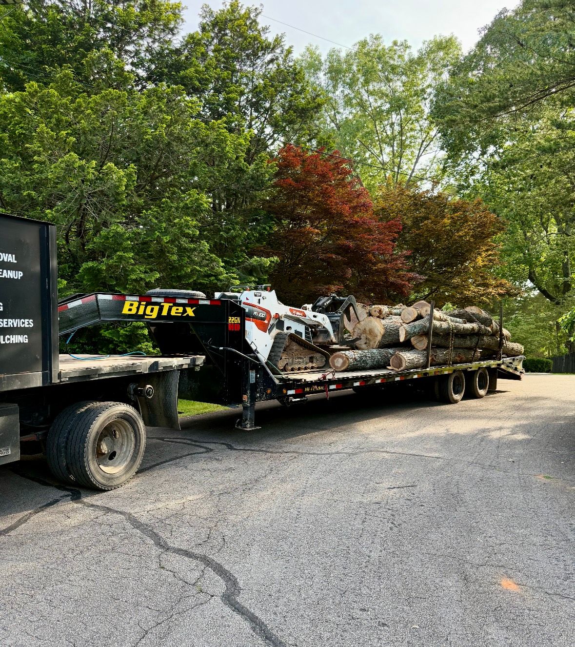  for Clear Tree Land Solutions in Dawson County, GA