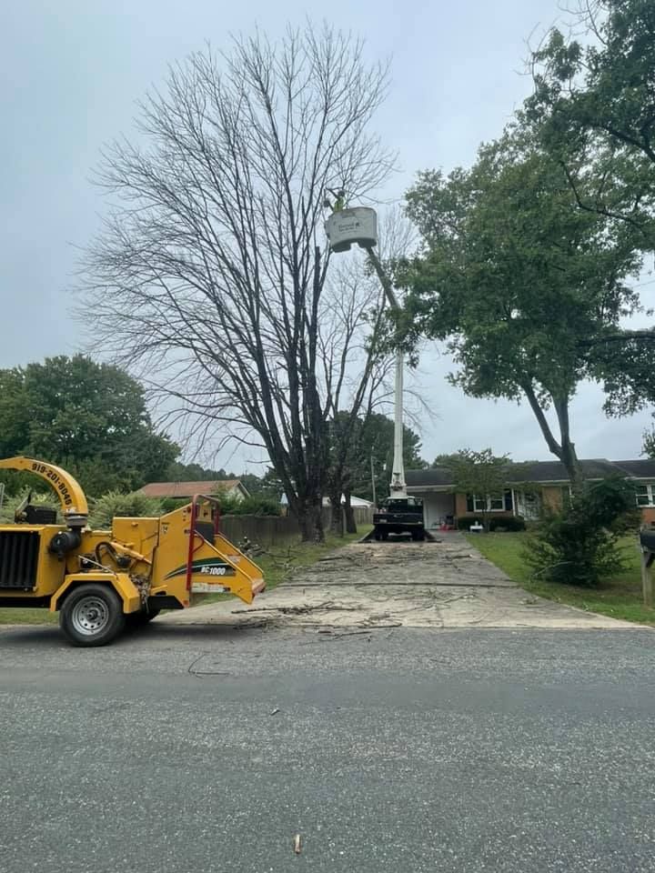 Tree Removal for Hoss Tree Works & Logging in Durham, NC