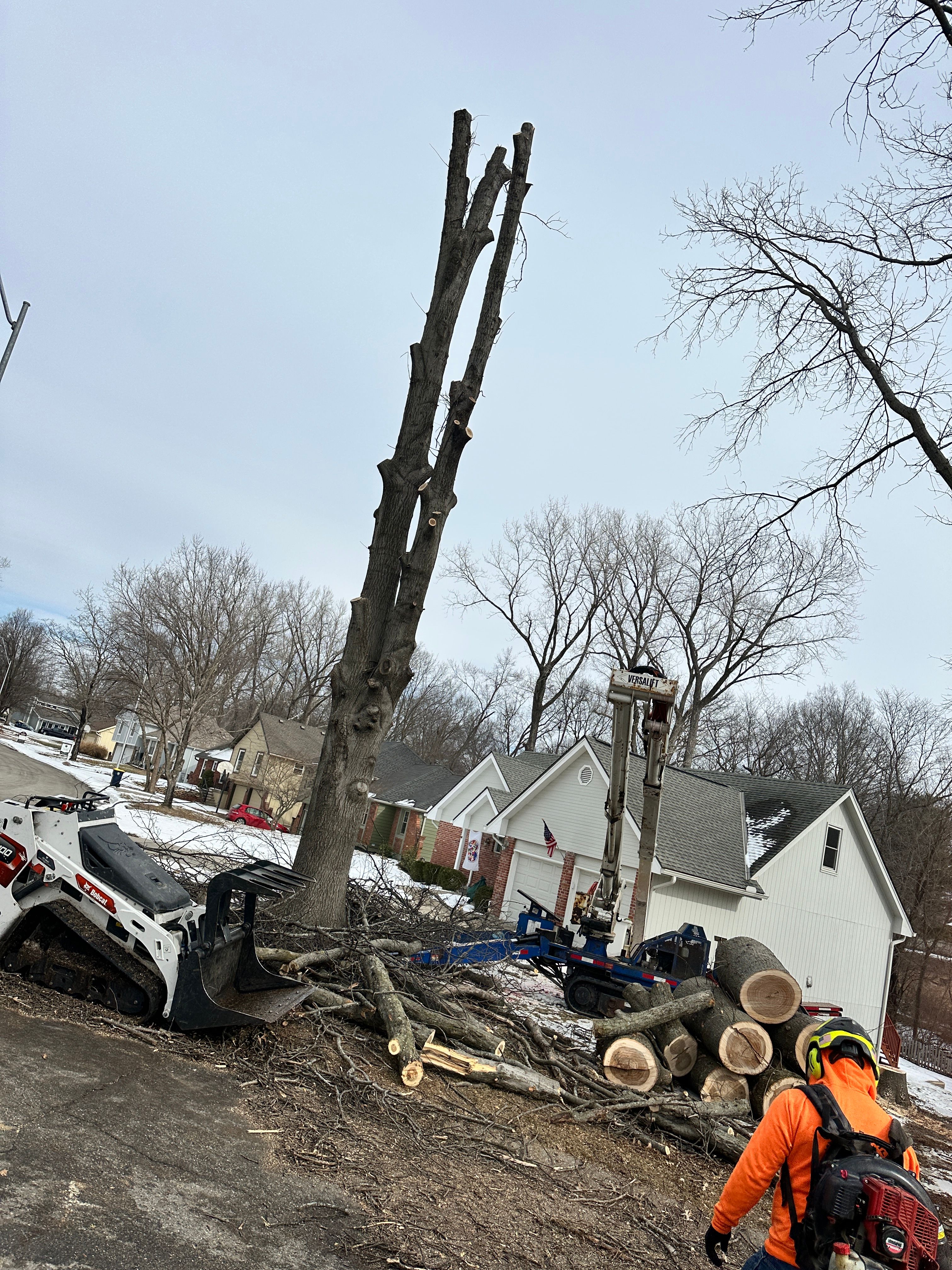 All Photos for Cross Family Tree Service in Kearney, MO