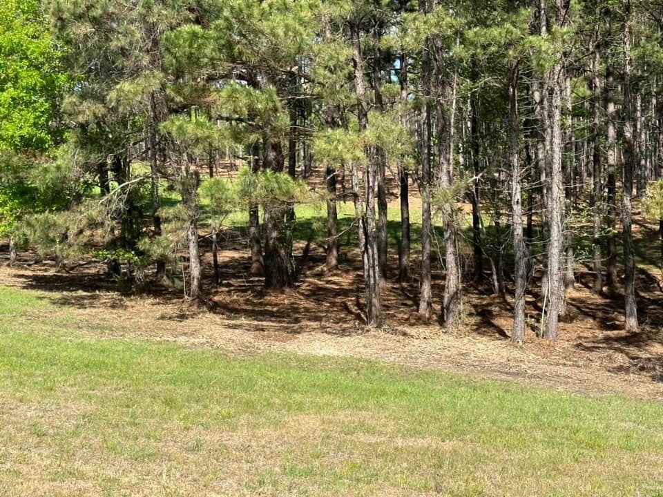 All Photos for White’s Land Maintenance in Milton,, FL