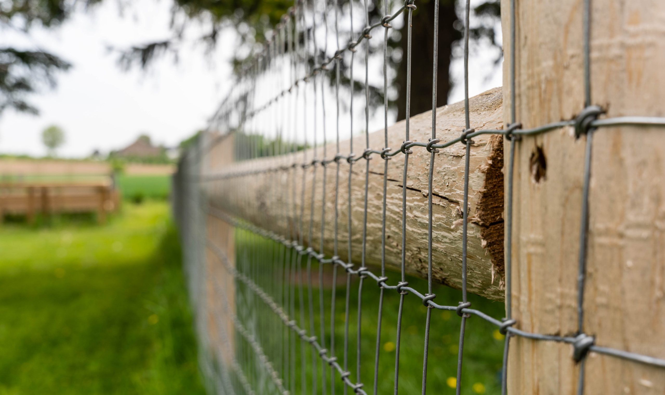  for Top Tier Fencing in Milton, FL