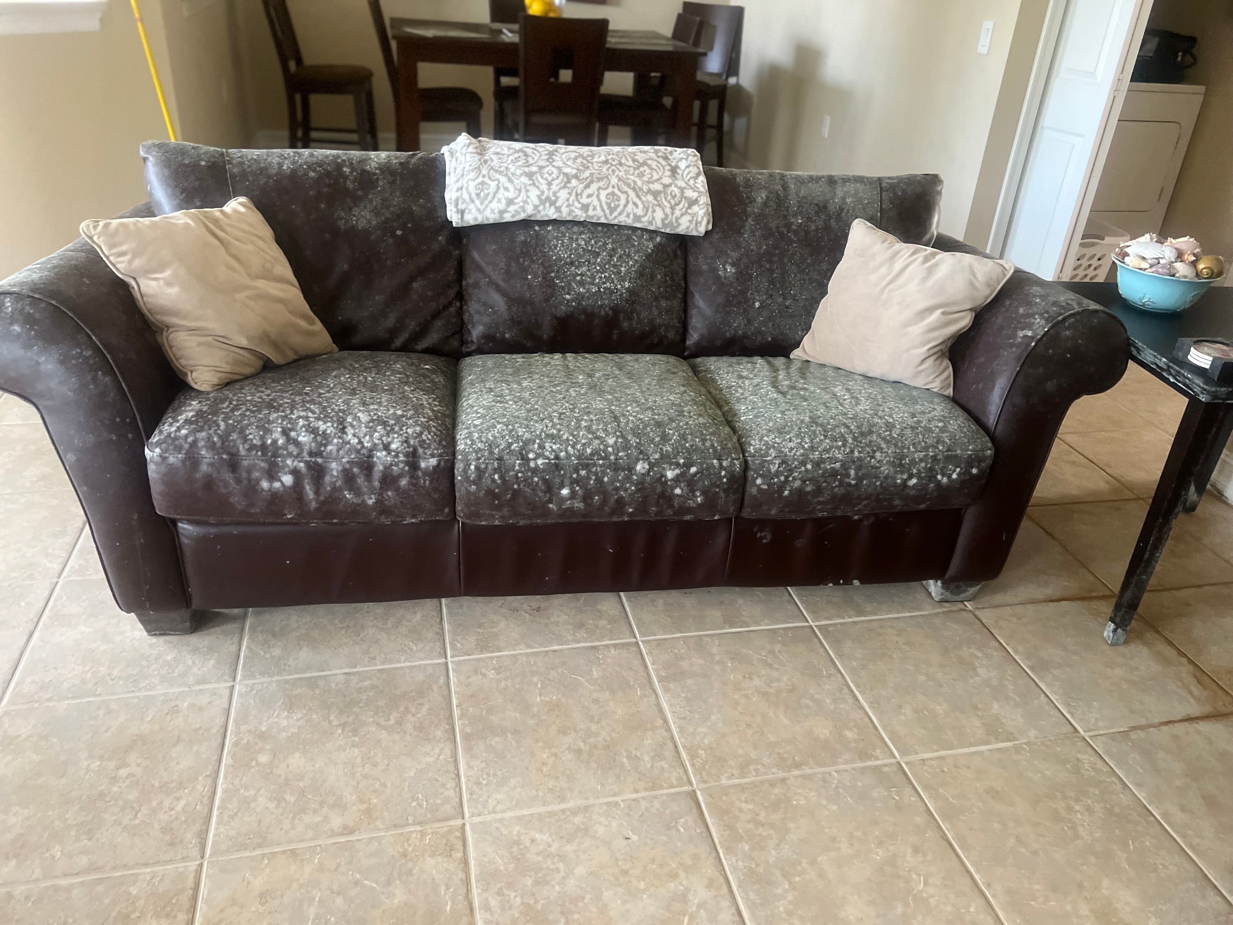  for N&D Restoration Services When Disaster Strikes, We Come In in Cape Coral,  FL