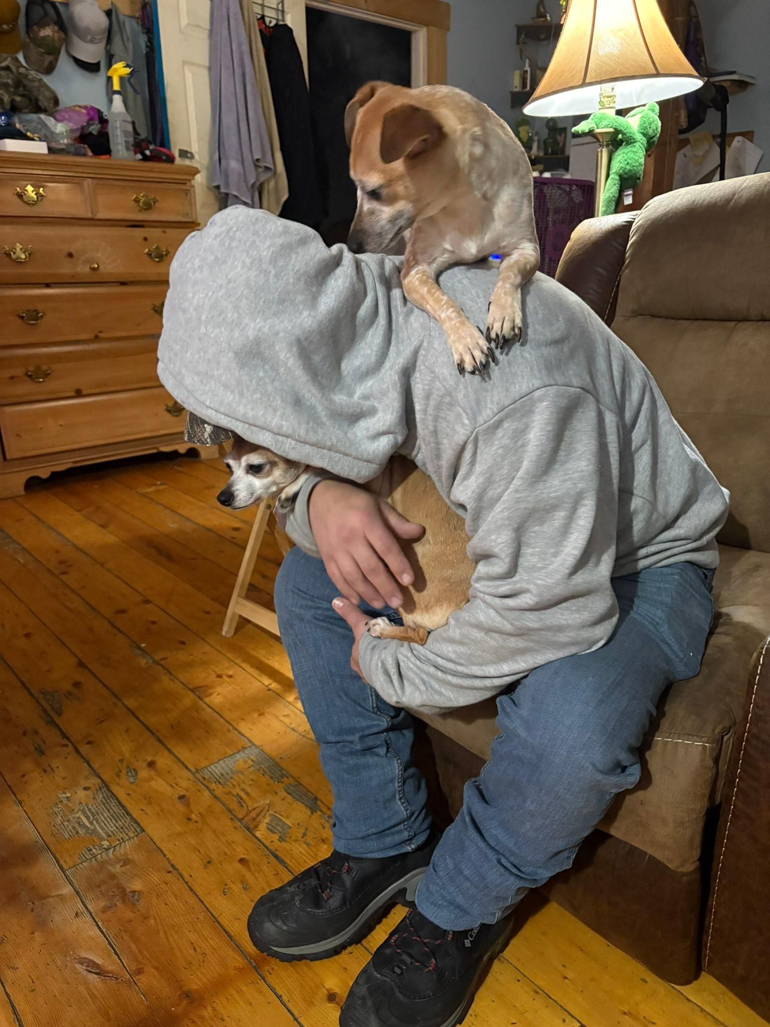  for The Dailey Daisy in Hardwick, VT