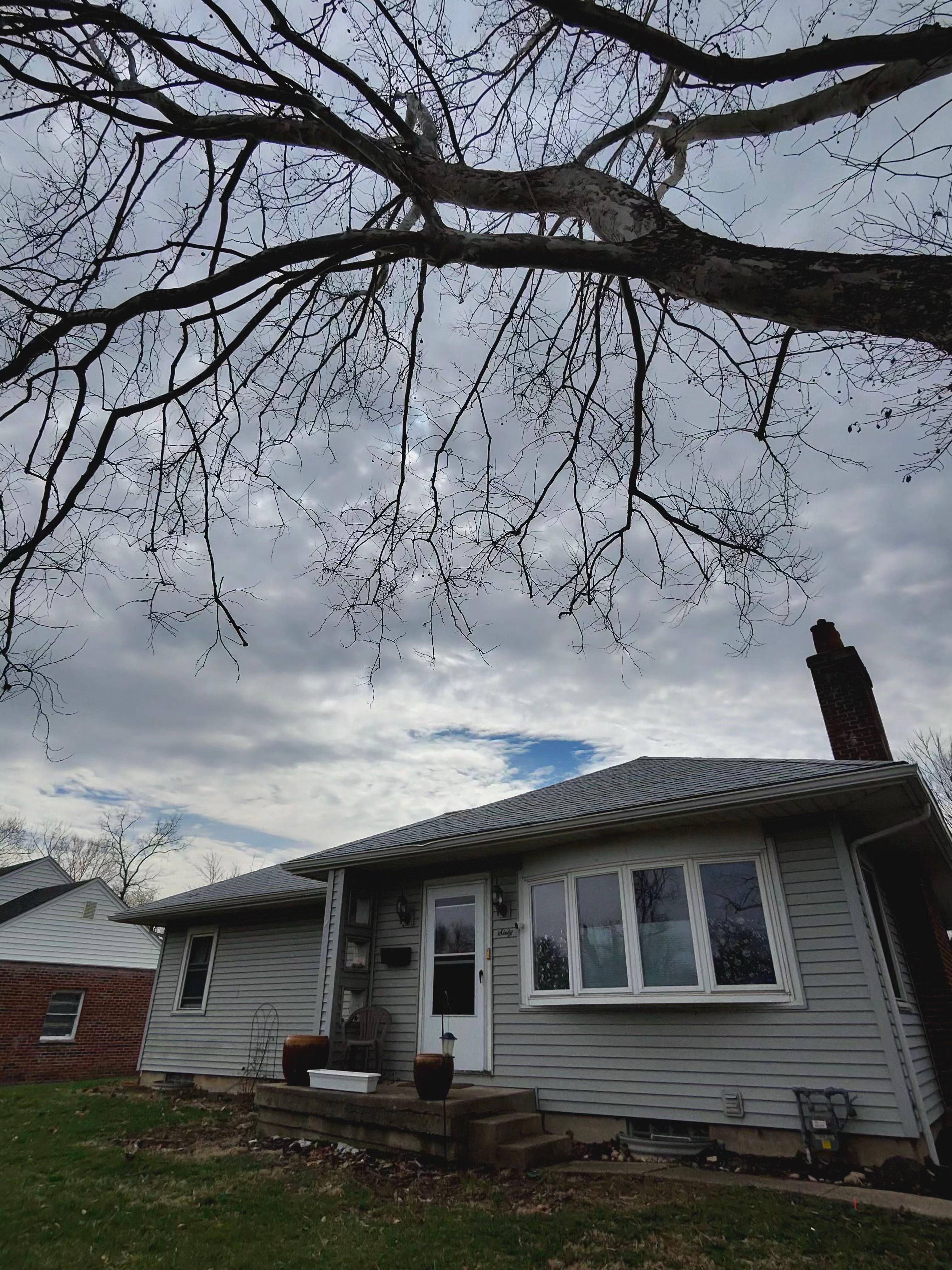 All Photos for Pro Tree Trim & Removal, Llc in Dayton, OH