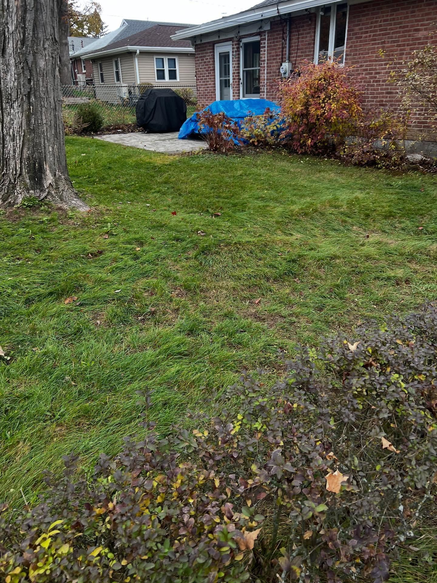  for Bumblebee Lawn Care LLC in Albany, New York