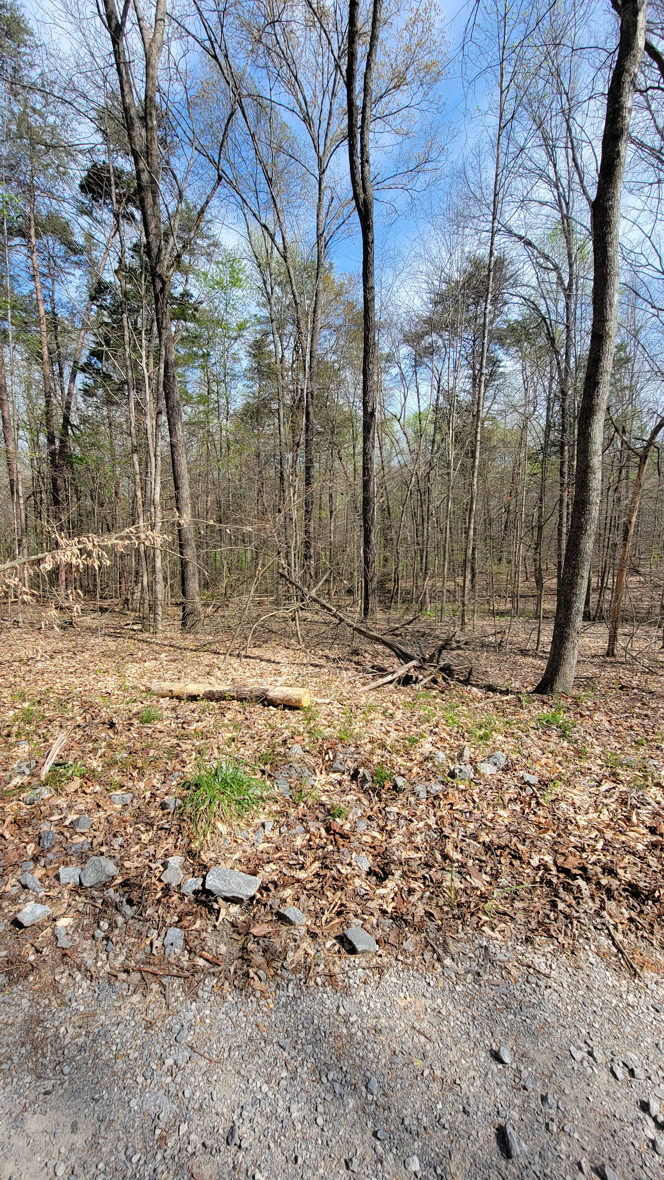 for Z's Land Management & Forestry Mulching in Smithville, TN