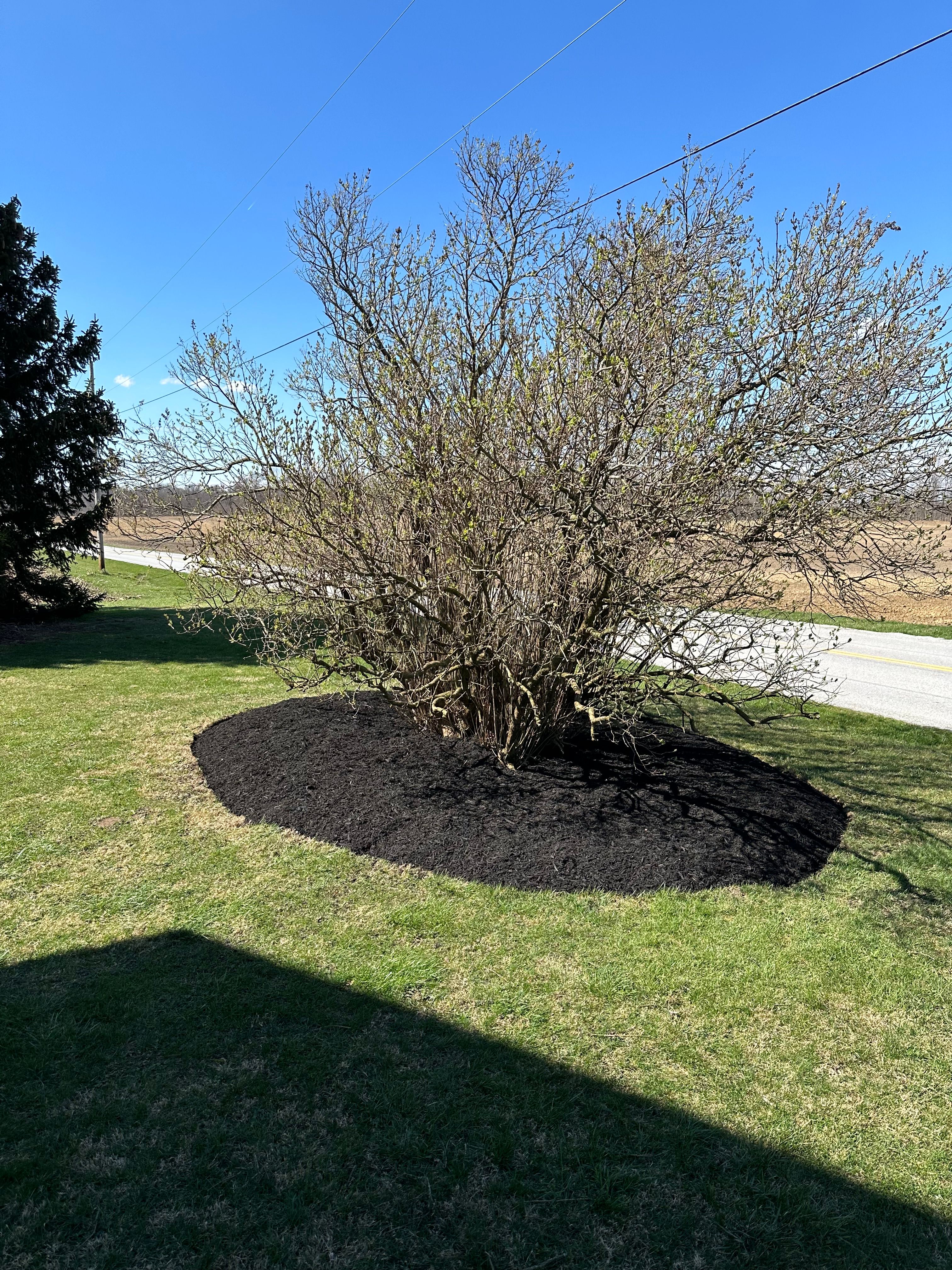  for OT Lawn and Landscaping LLC in Carey, OH