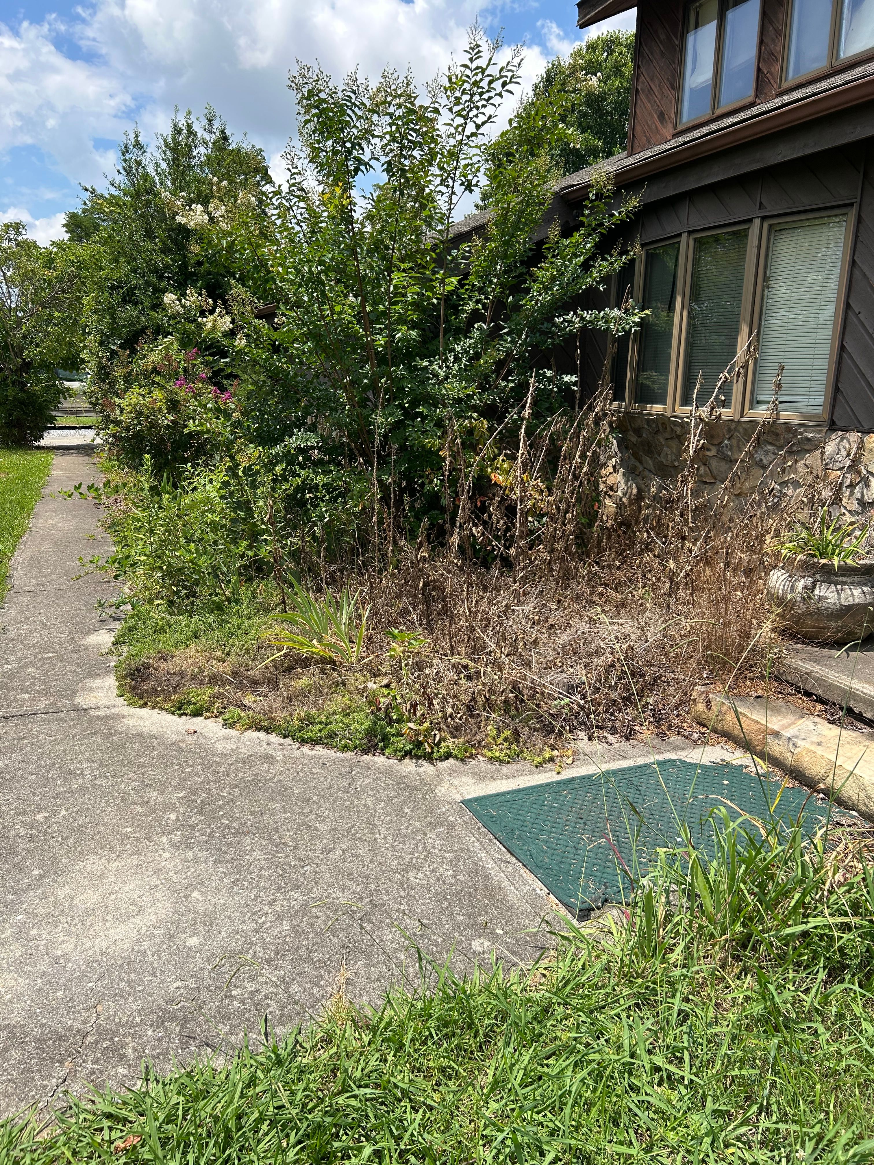 All Photos for Gatrell Landscape & Tree Removal in Bluff City, TN