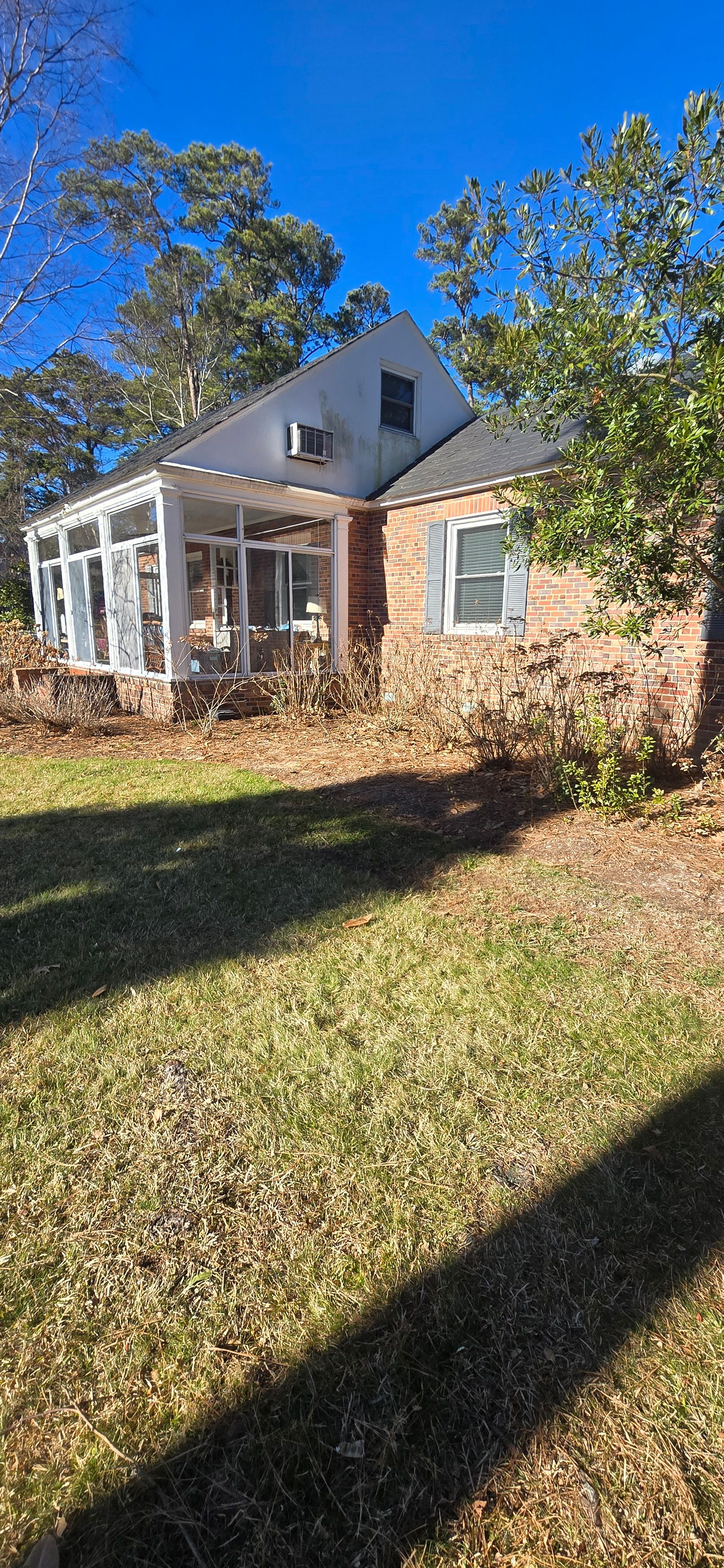  for Beach Tree Care in Virginia Beach, VA