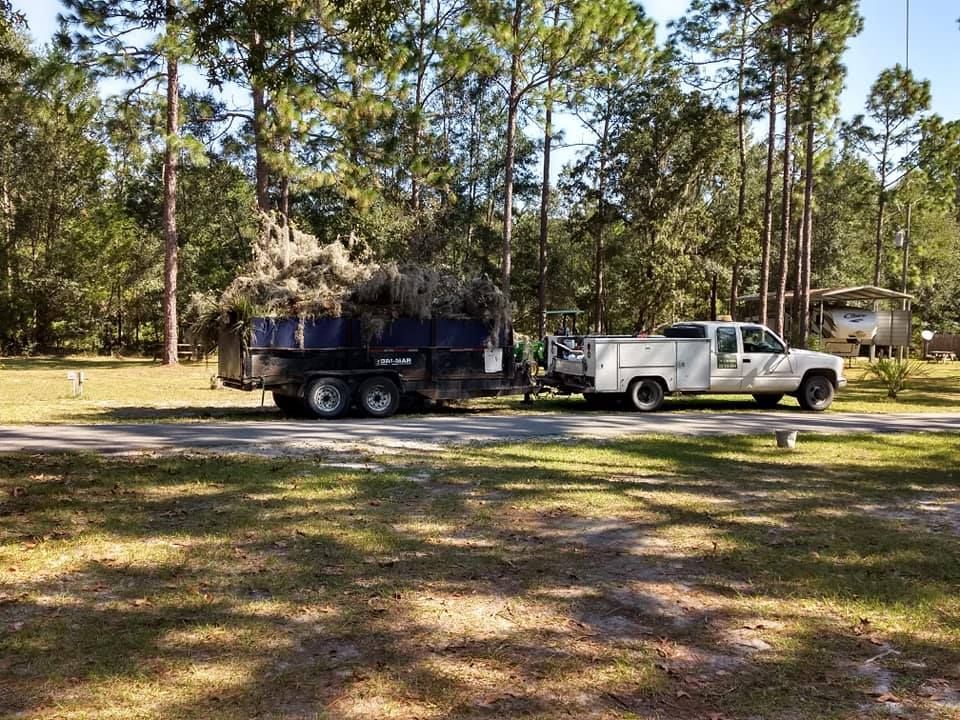 Tree Removal for Asbell's Tree & Land Services in Gilchrist County, FL