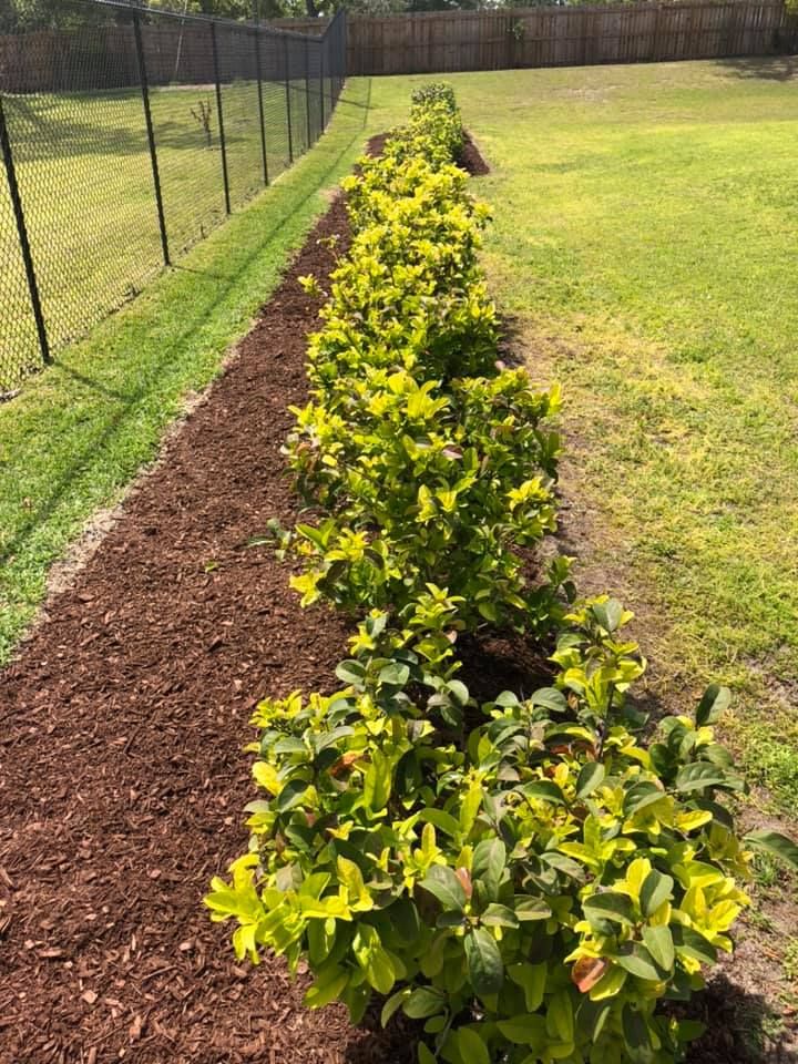  for Genesis Landscape Services in Spring Hill, FL