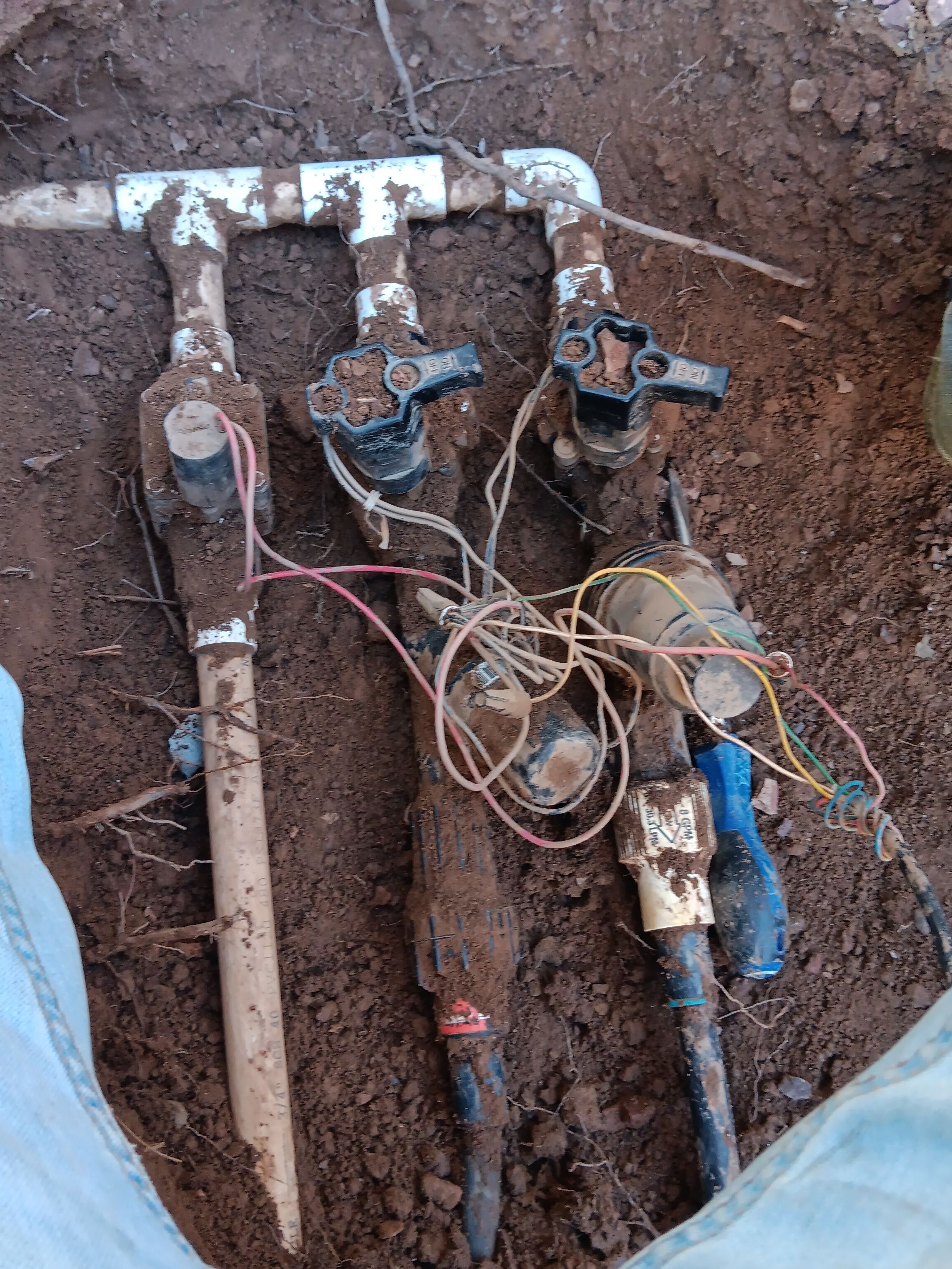  for Family Landscaping in Phoenix, AZ