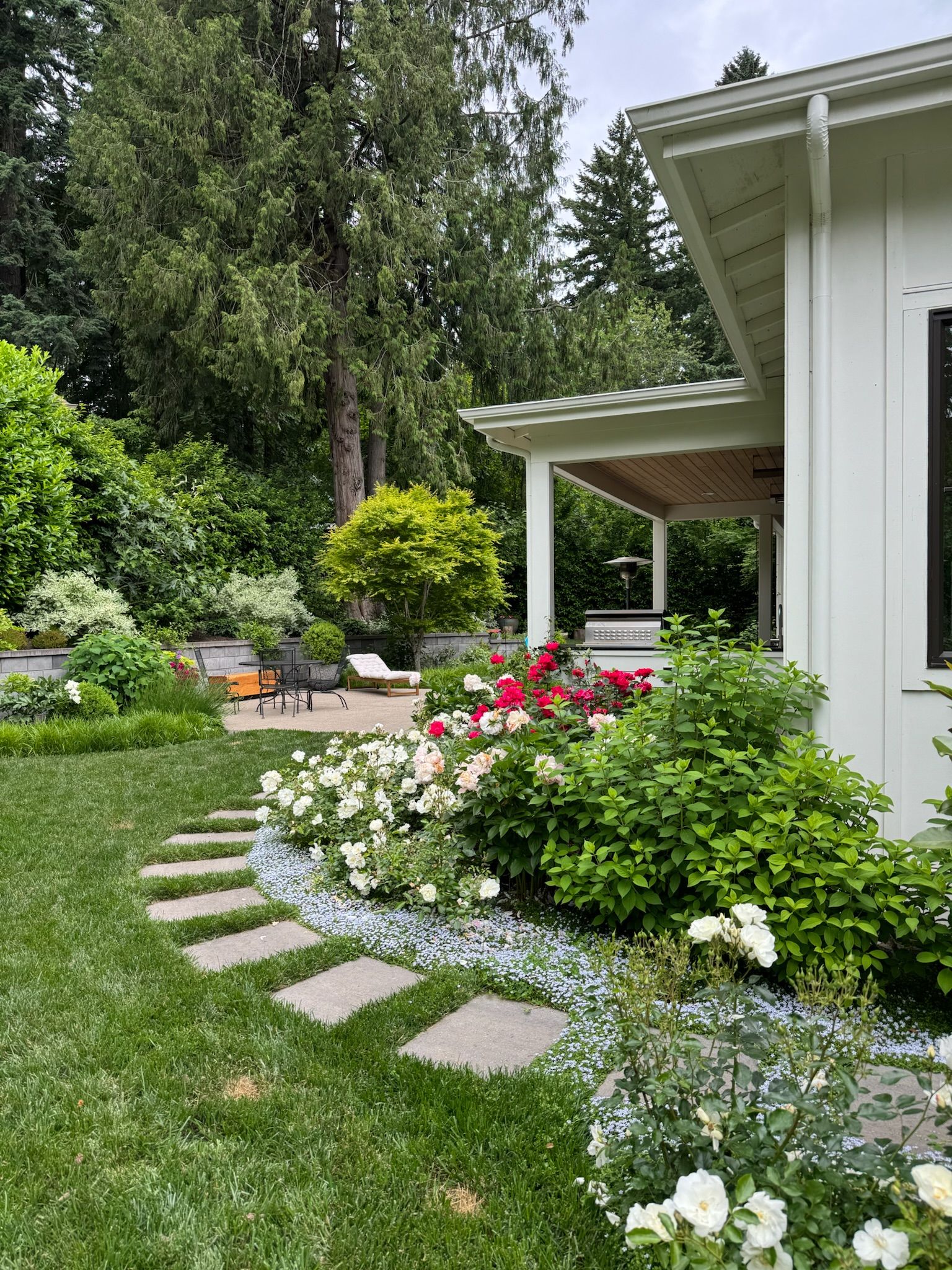 All Photos for Rs lawn Care llc in Beavertown, OR