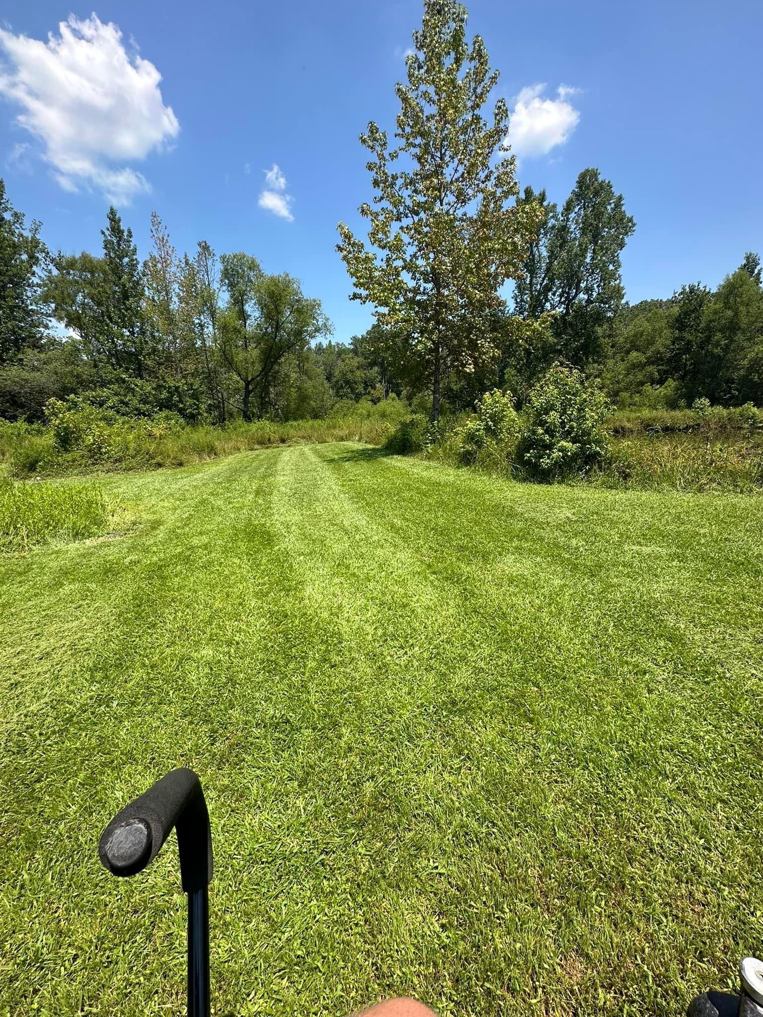 Mowing for Cowboys Lawn Care & Pressure/Soft Washing in Carrollton, Georgia