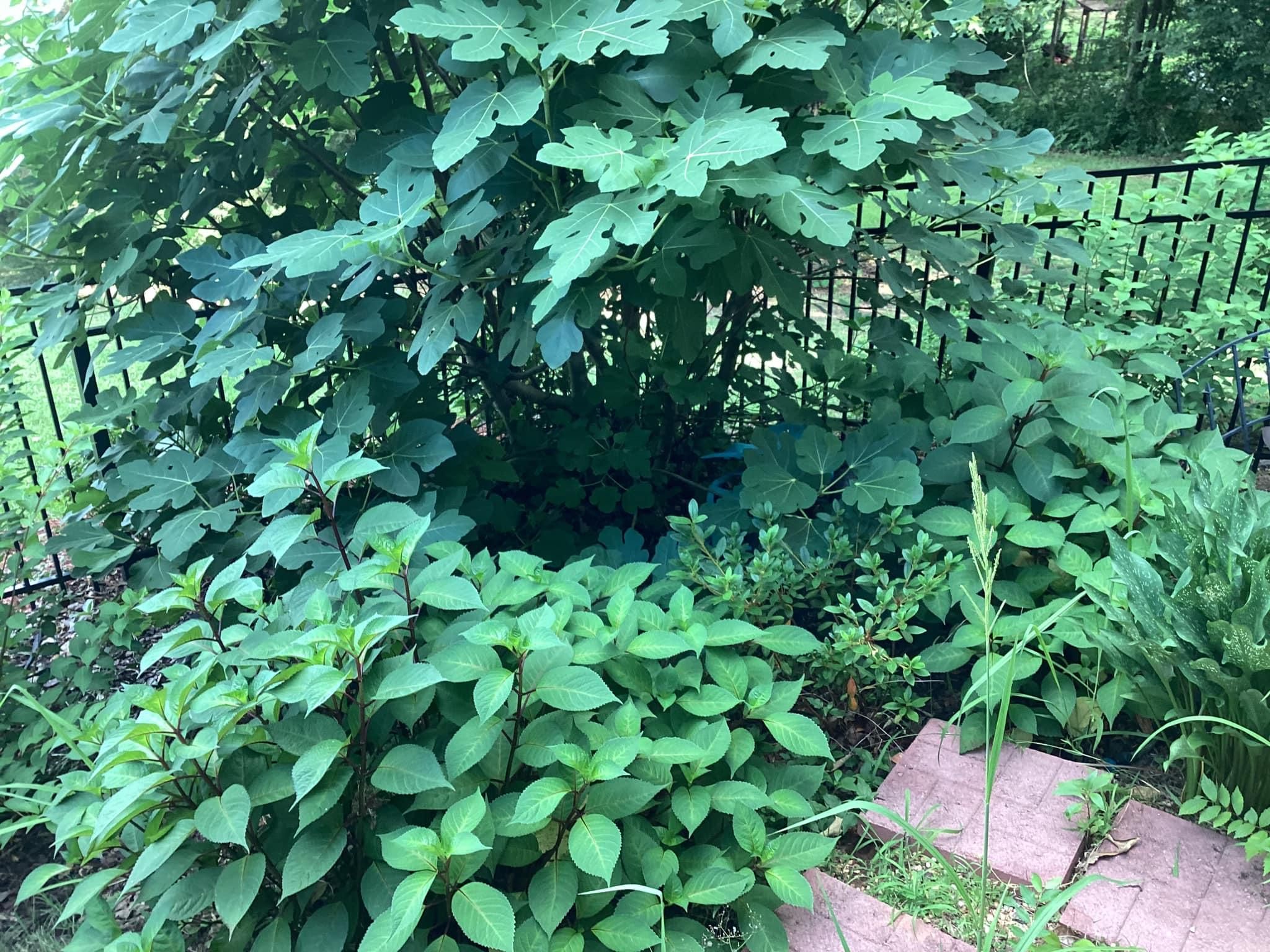  for Xtreme Landscaping & Lawn Care in Lincoln, AL