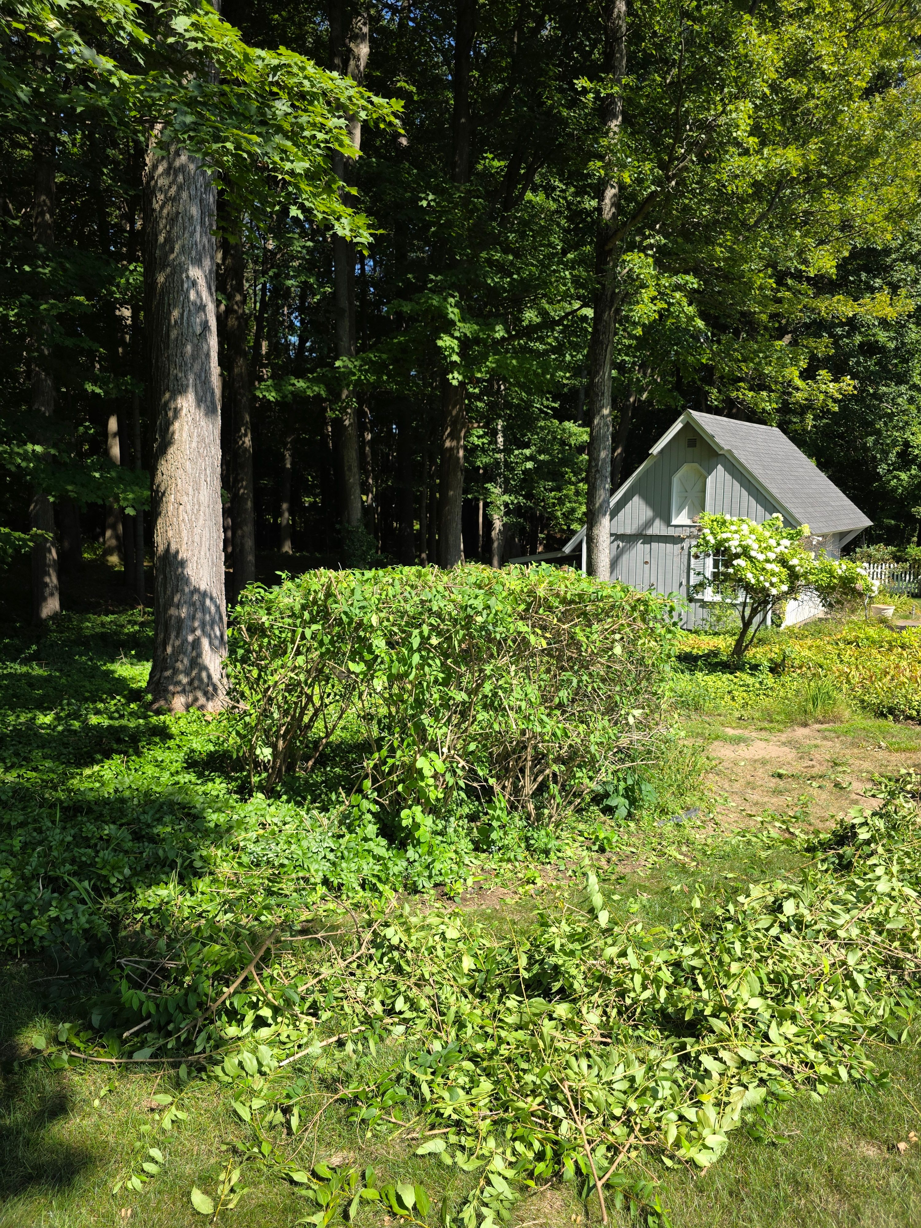  for Sweet Scapes in Ballston Spa, NY