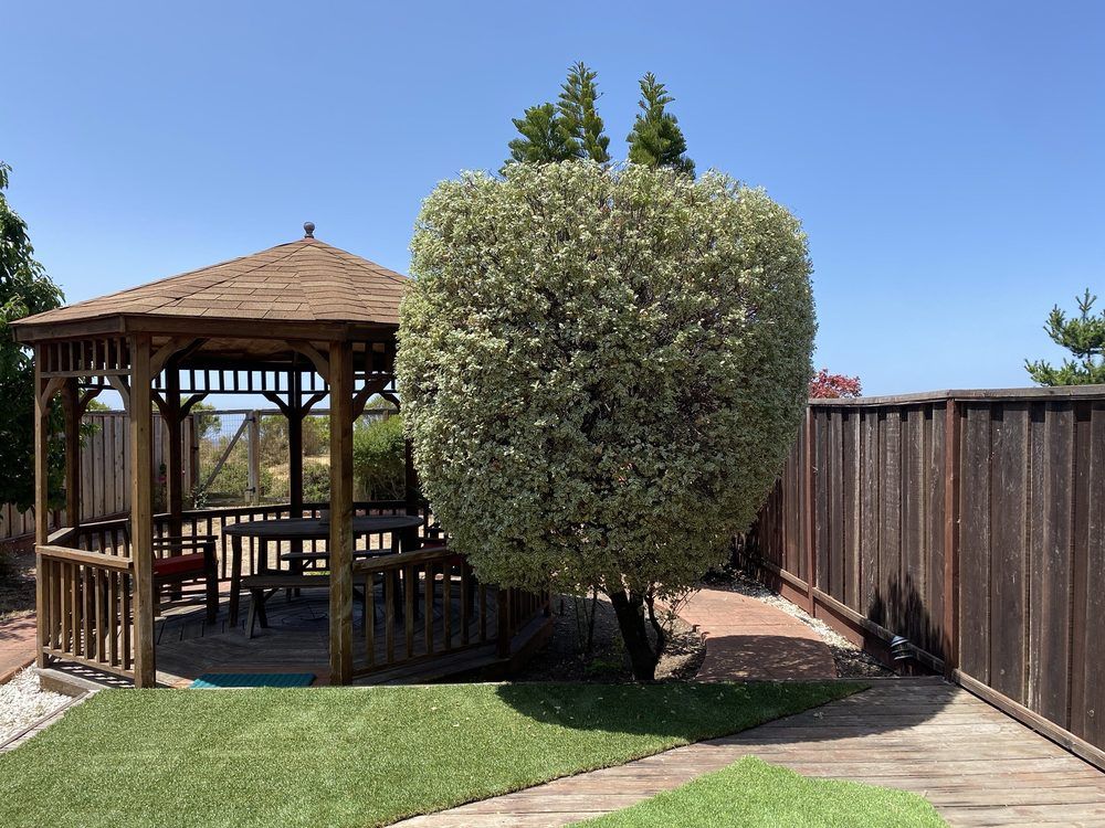  for CBA Landscaping in Hayward, CA
