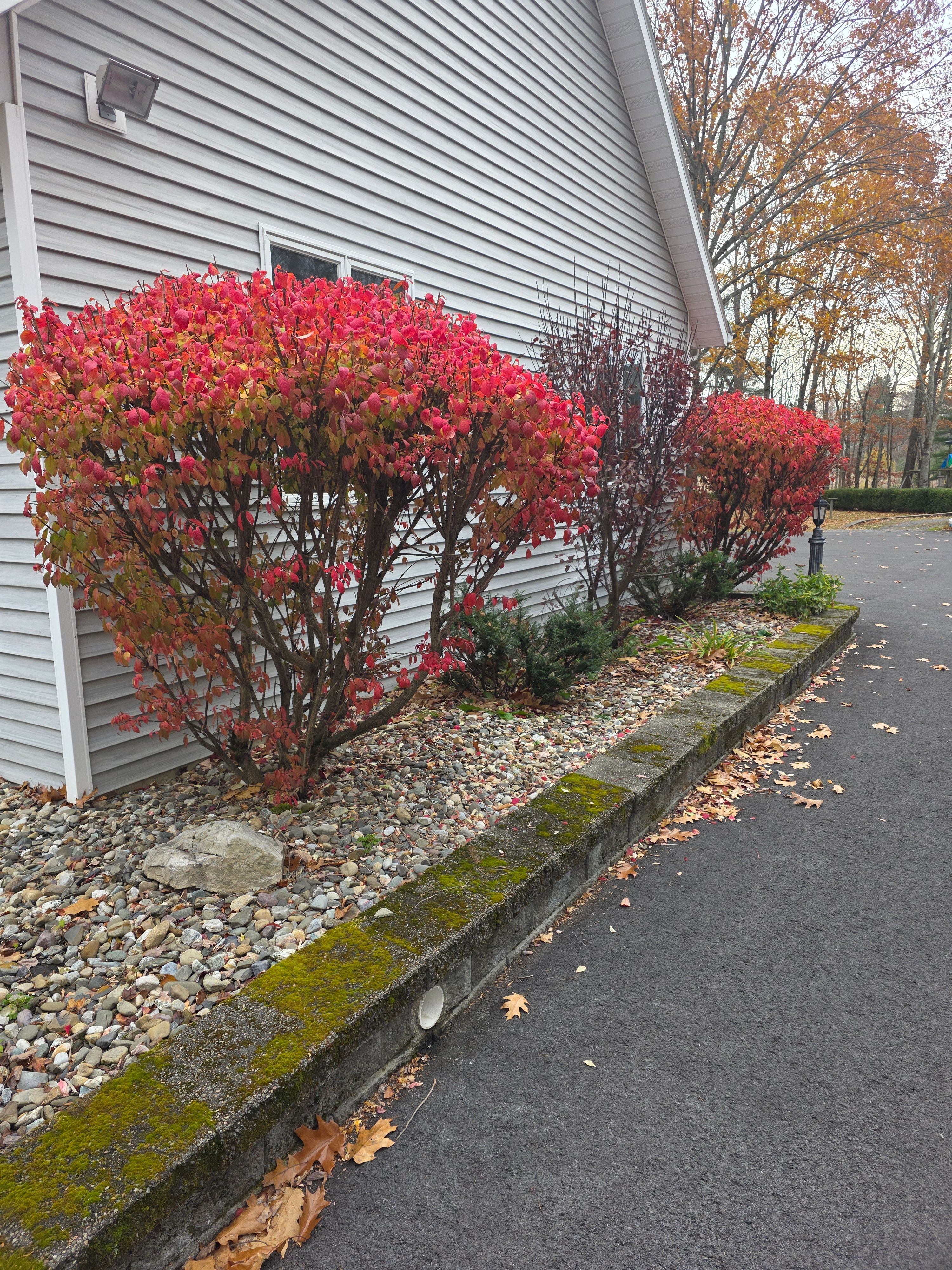  for Sweet Scapes in Ballston Spa, NY