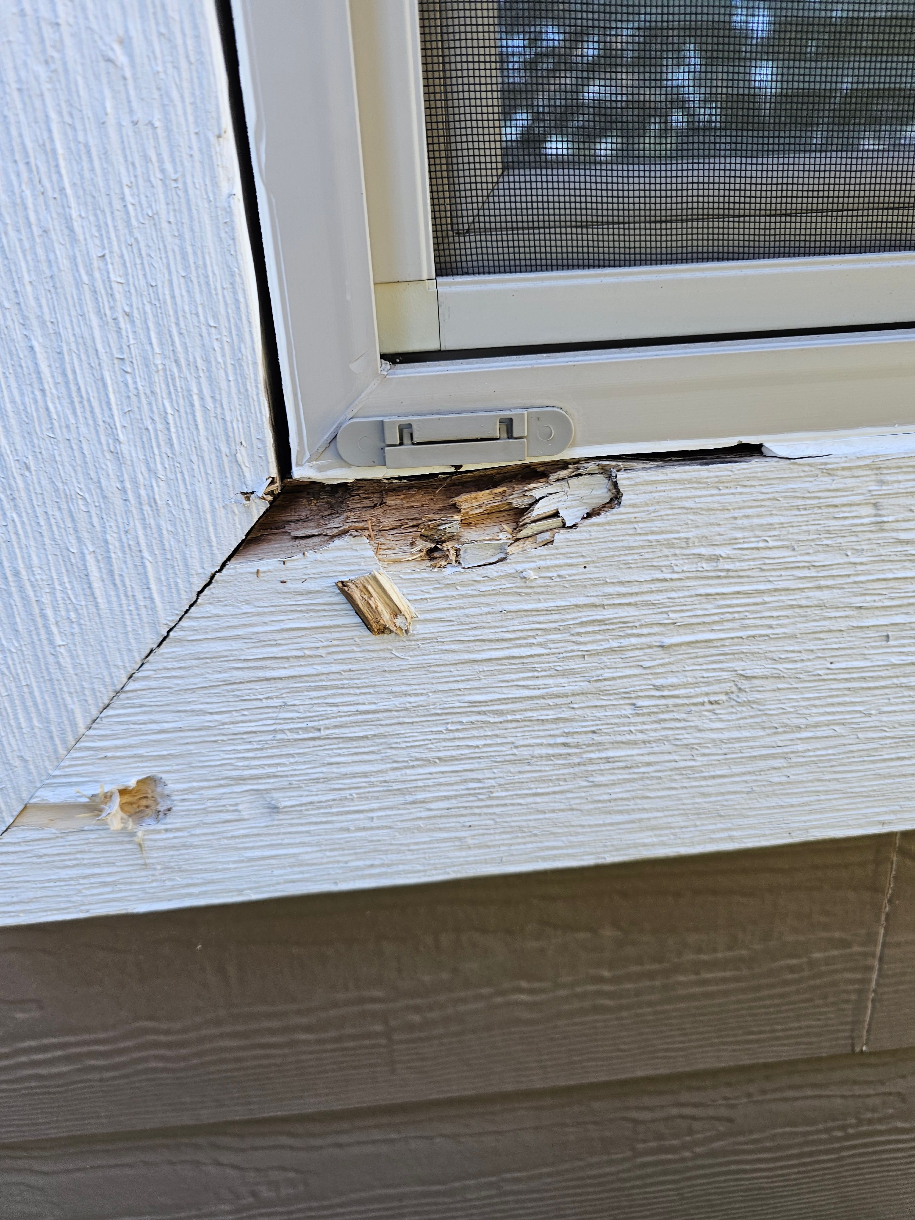  for Home Pros in Maple Falls, WA