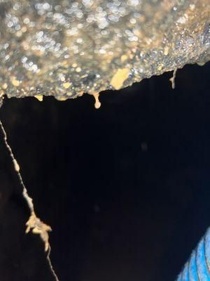  for Reliable Septic Tank Services in Marion County, FL in Reddick, FL
