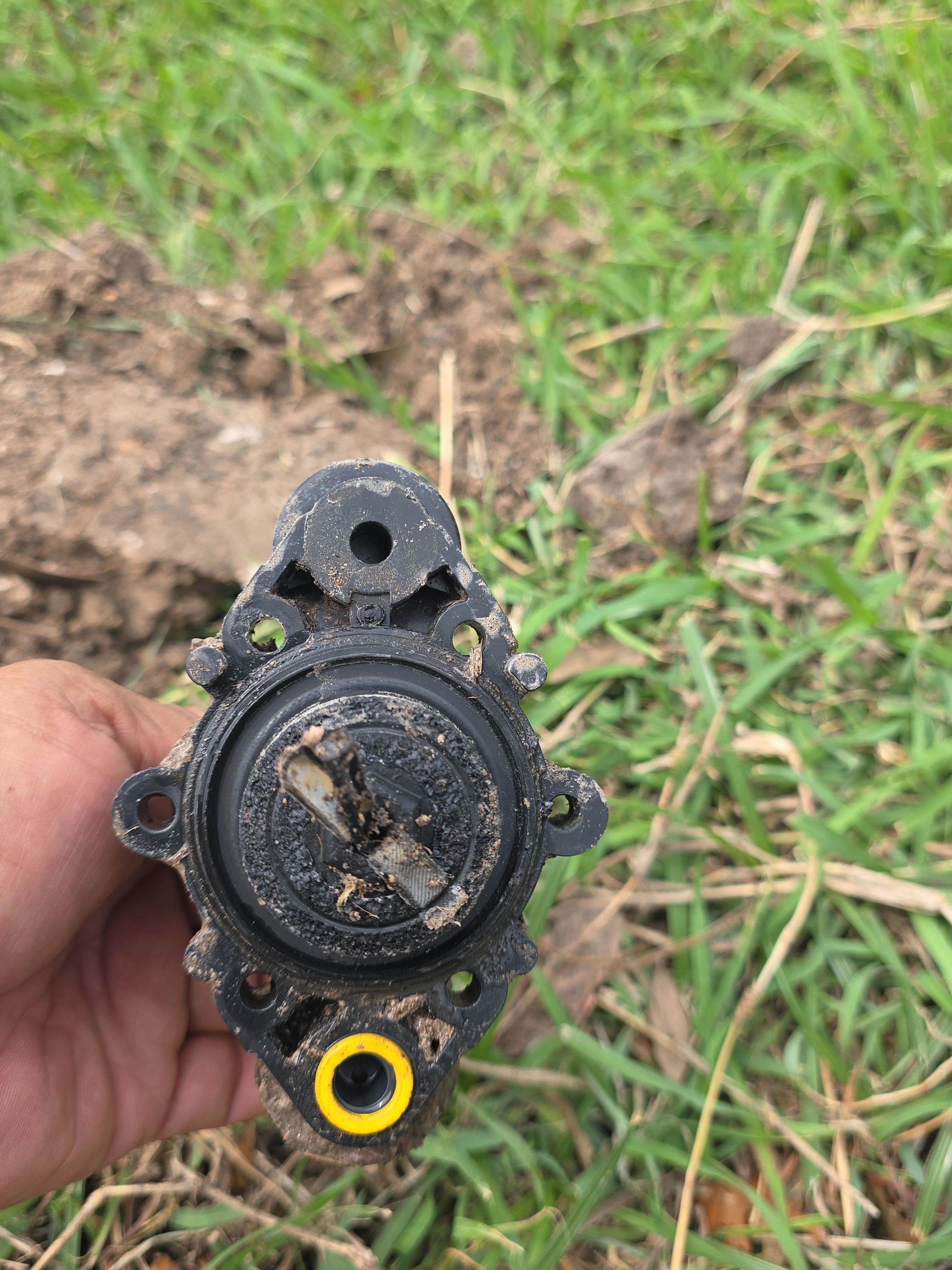  for Pro Lawn Care RGV in McAllen, TX