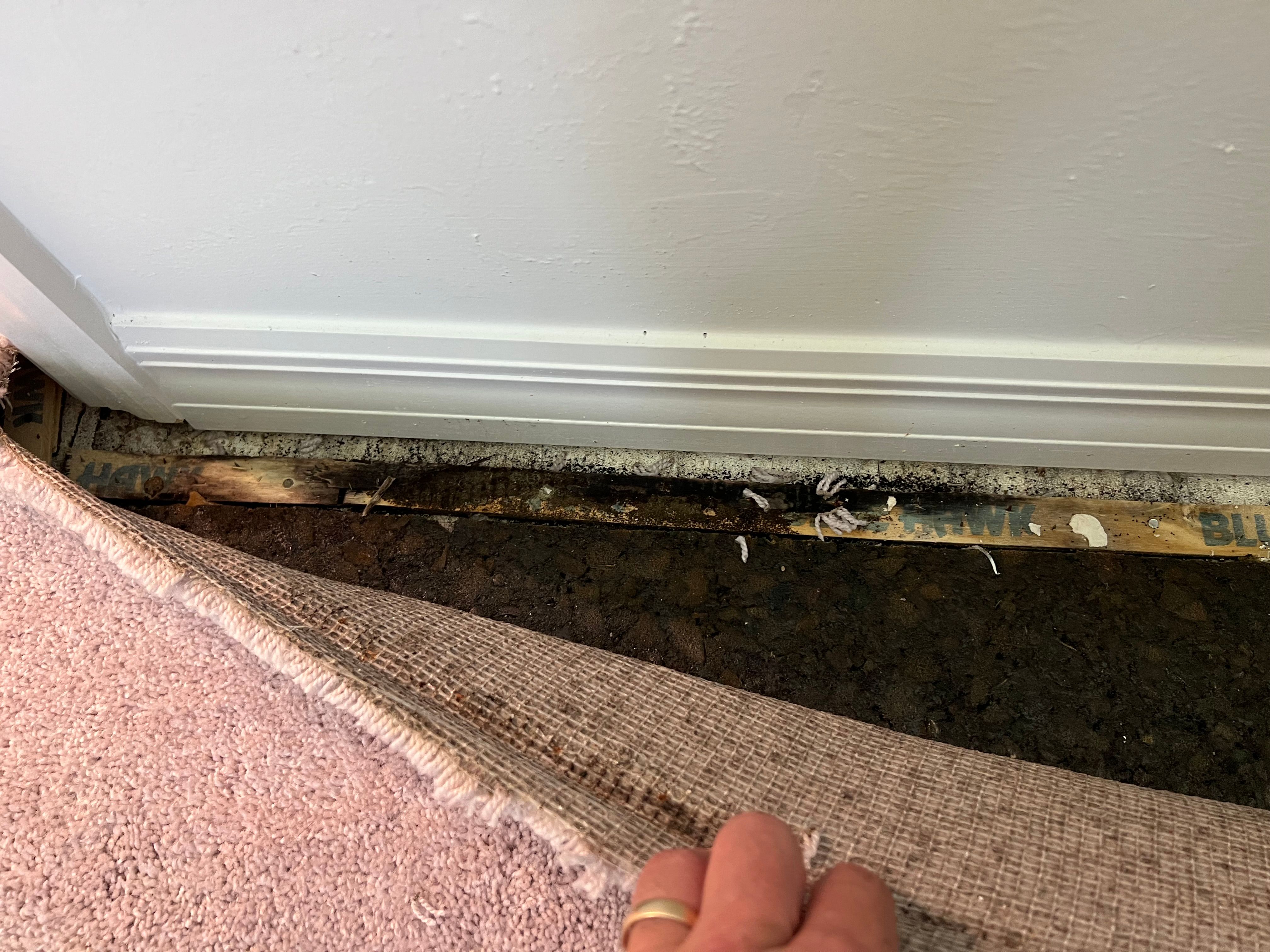  for N&D Restoration Services When Disaster Strikes, We Come In in Cape Coral,  FL