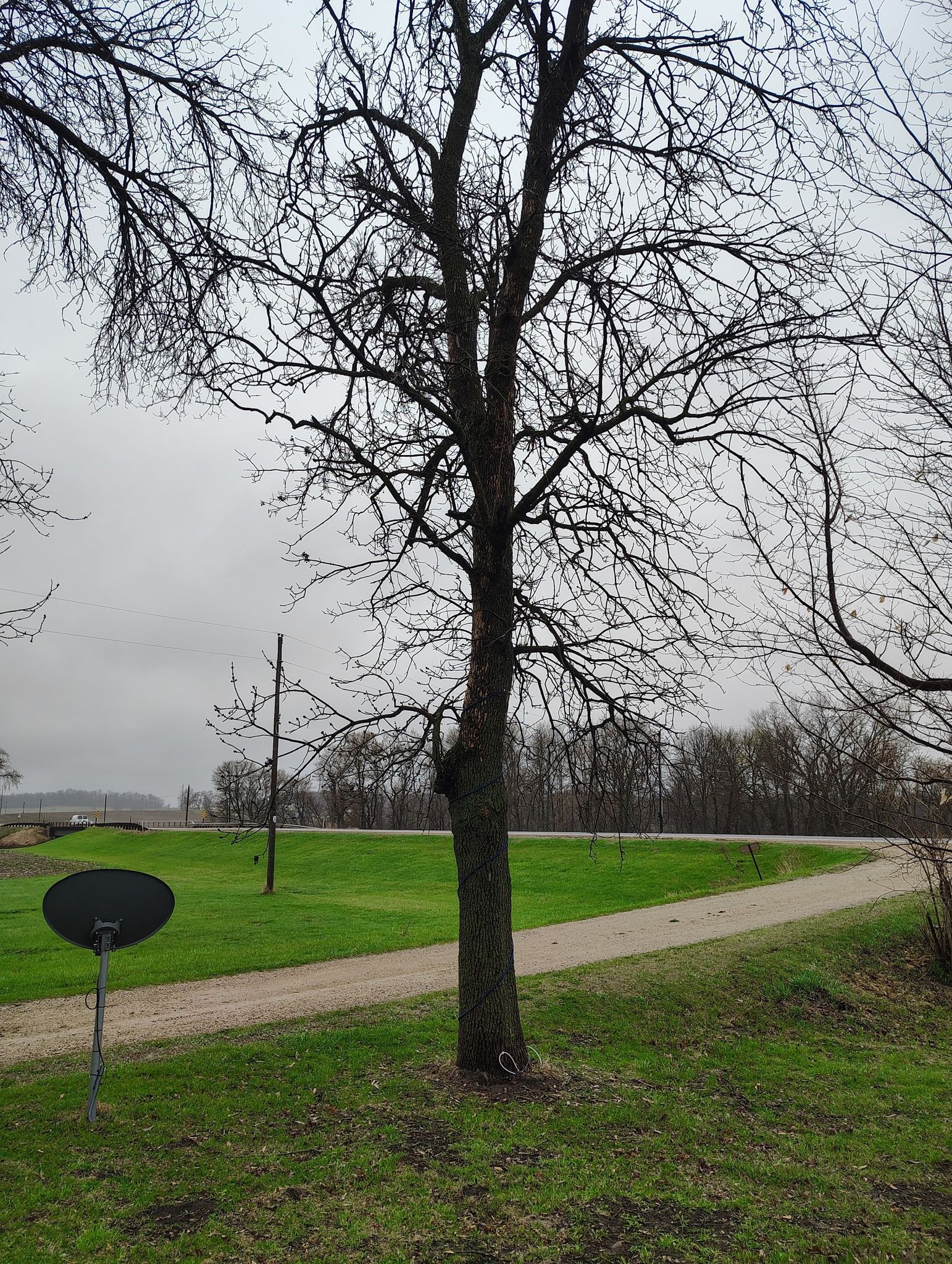 All Photos for Big River lawn Care services and snow LLC in Wausau, WI