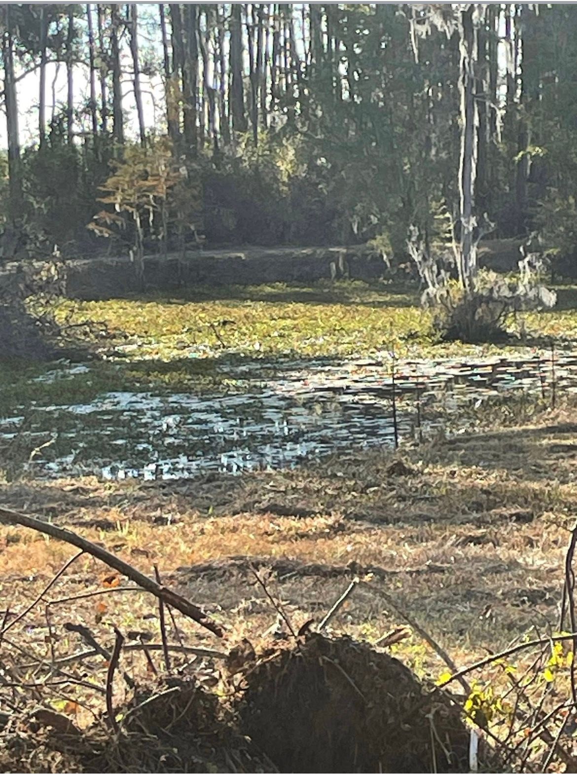 All Photos for Ewc Land Clearing and more in Lake Park, GA