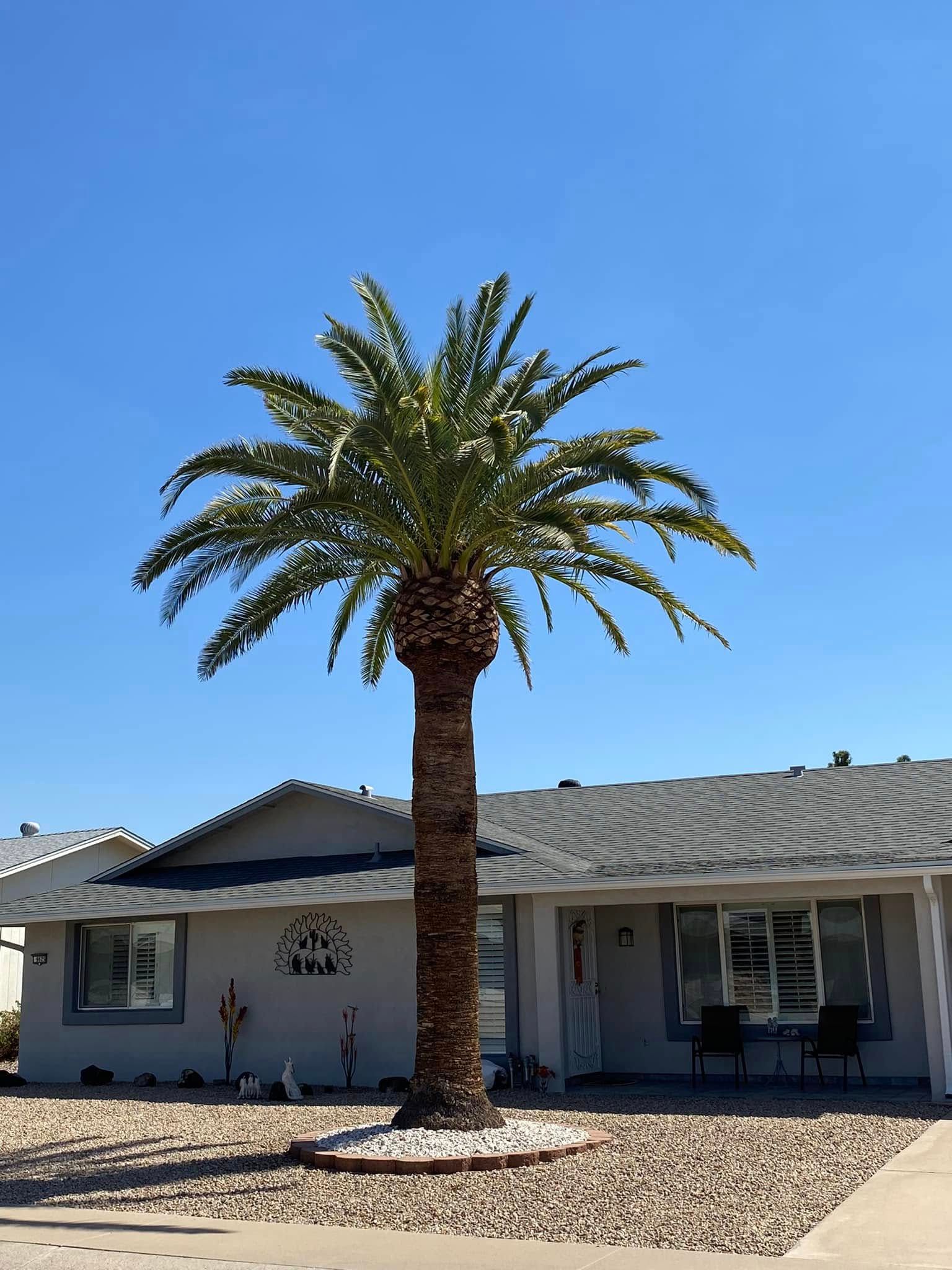  for Ramirez Landscaping in El Mirage, AZ