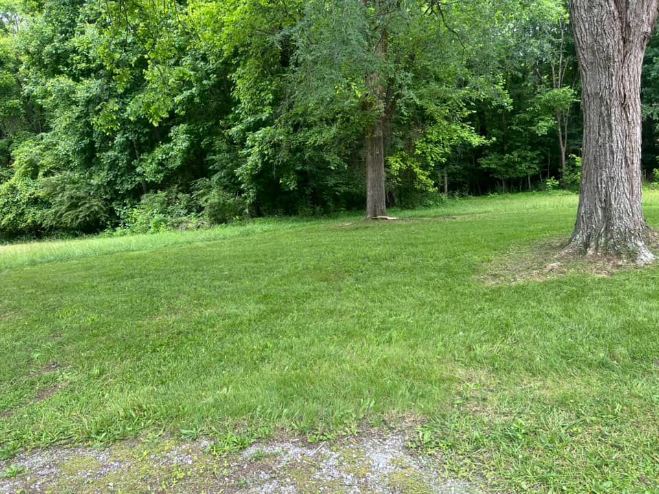 All Photos for LawnTherapy in Lawrenceville, VA