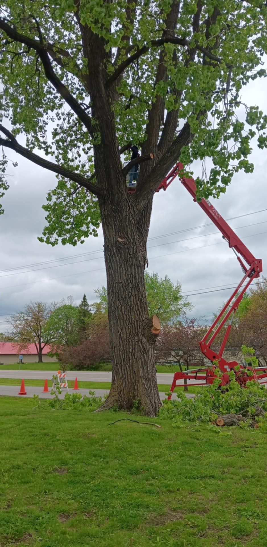  for Lawn Ranger Yard And Tree Service LLC in Ottumwa, IA
