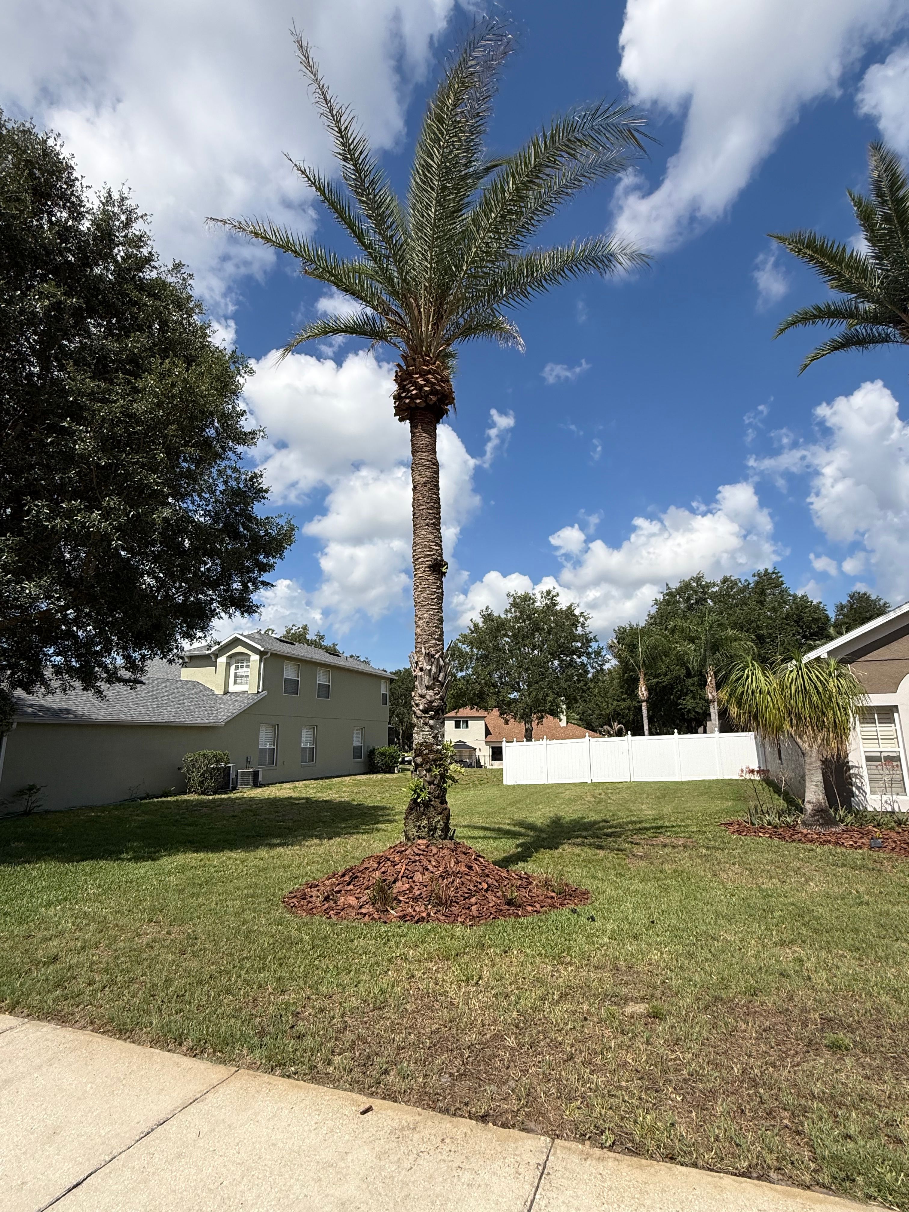  for Amerigrown Tree And Lawn in Apopka, FL