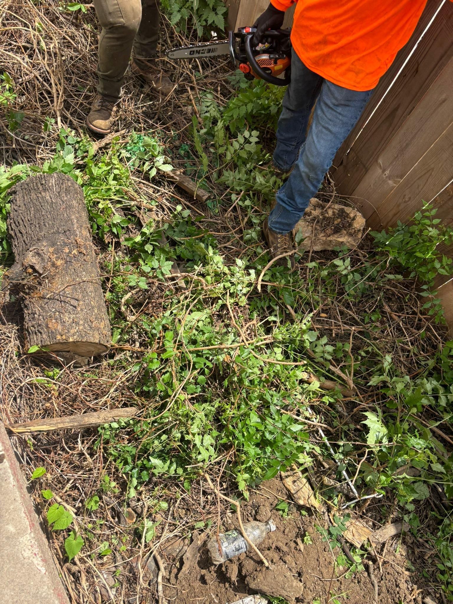 All Photos for Cross Family Tree Service in Kearney, MO