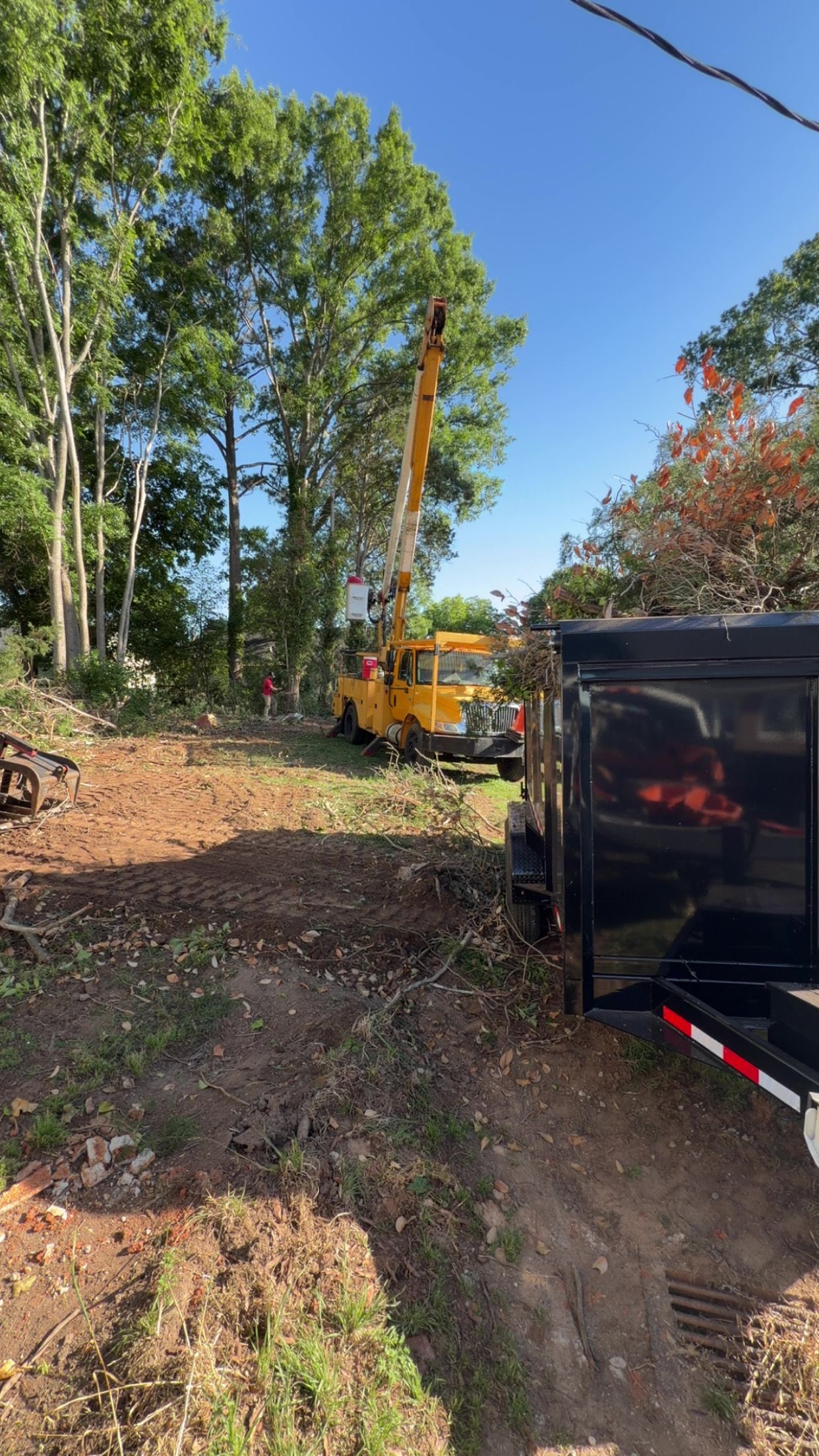  for Veteran Land Management in Greenwood, SC