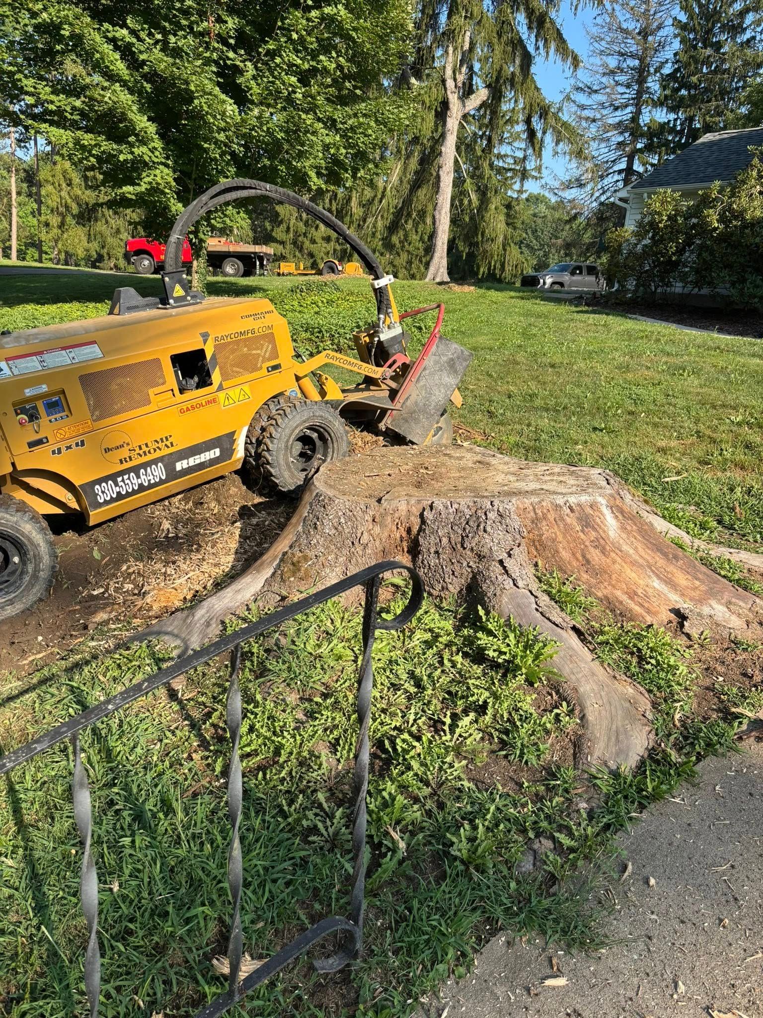  for Dean's Stump Removal in Youngstown, OH