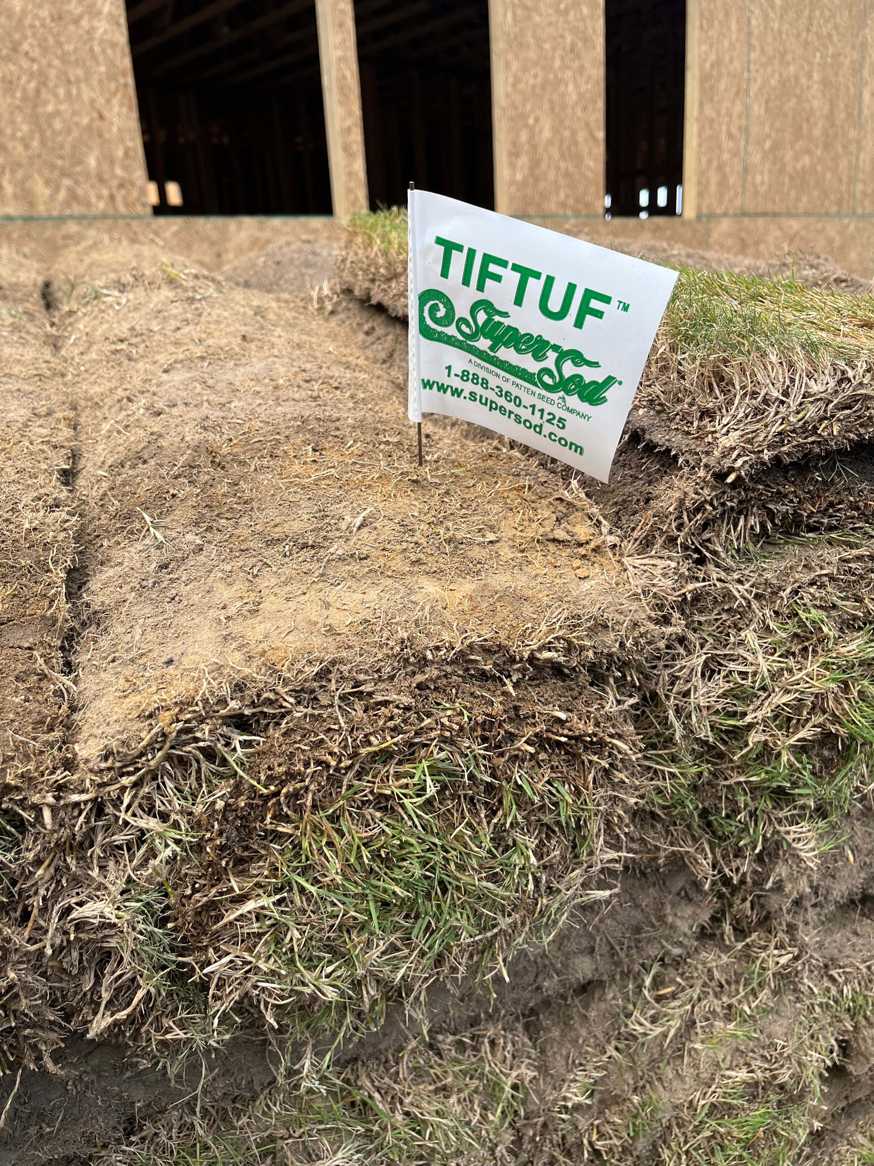  for New Creation Landscaping in Myrtle Beach, SC