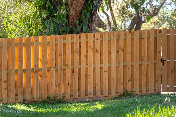 Lawn Maintenance for Amerigreen Lawn & Landscape in Duluth, GA